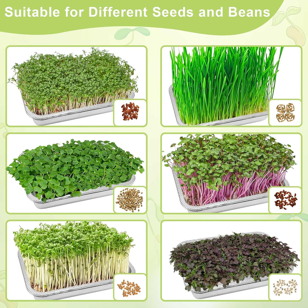 Microgreens Growing Kit 2-Tier 10.4 Inch Sprouting Trays | Stainless Steel Seed Sprouter with 0.3mm Encrypted Silicone