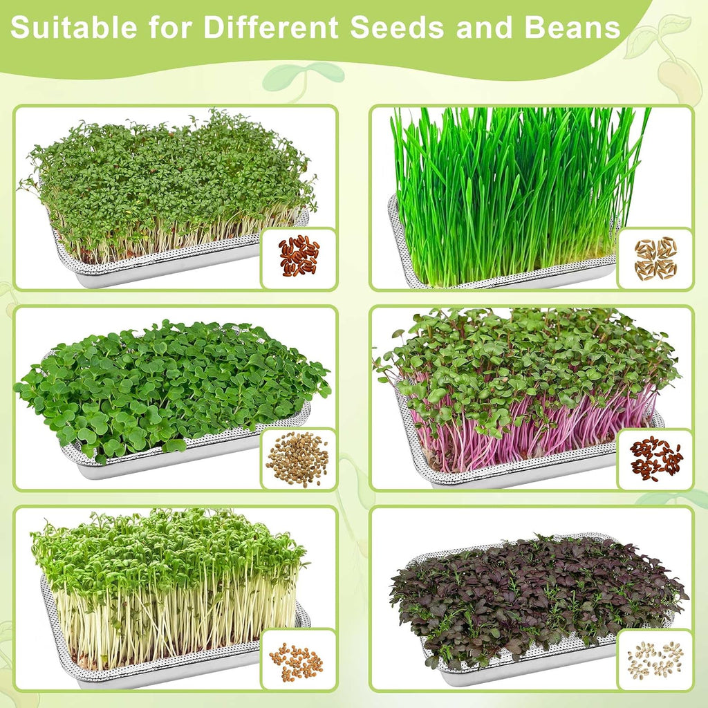 Microgreens Growing Kit 2-Tier 14 Inch Sprouting Trays | Stainless Steel Seed Sprouter with 0.3mm Encrypted Silicone