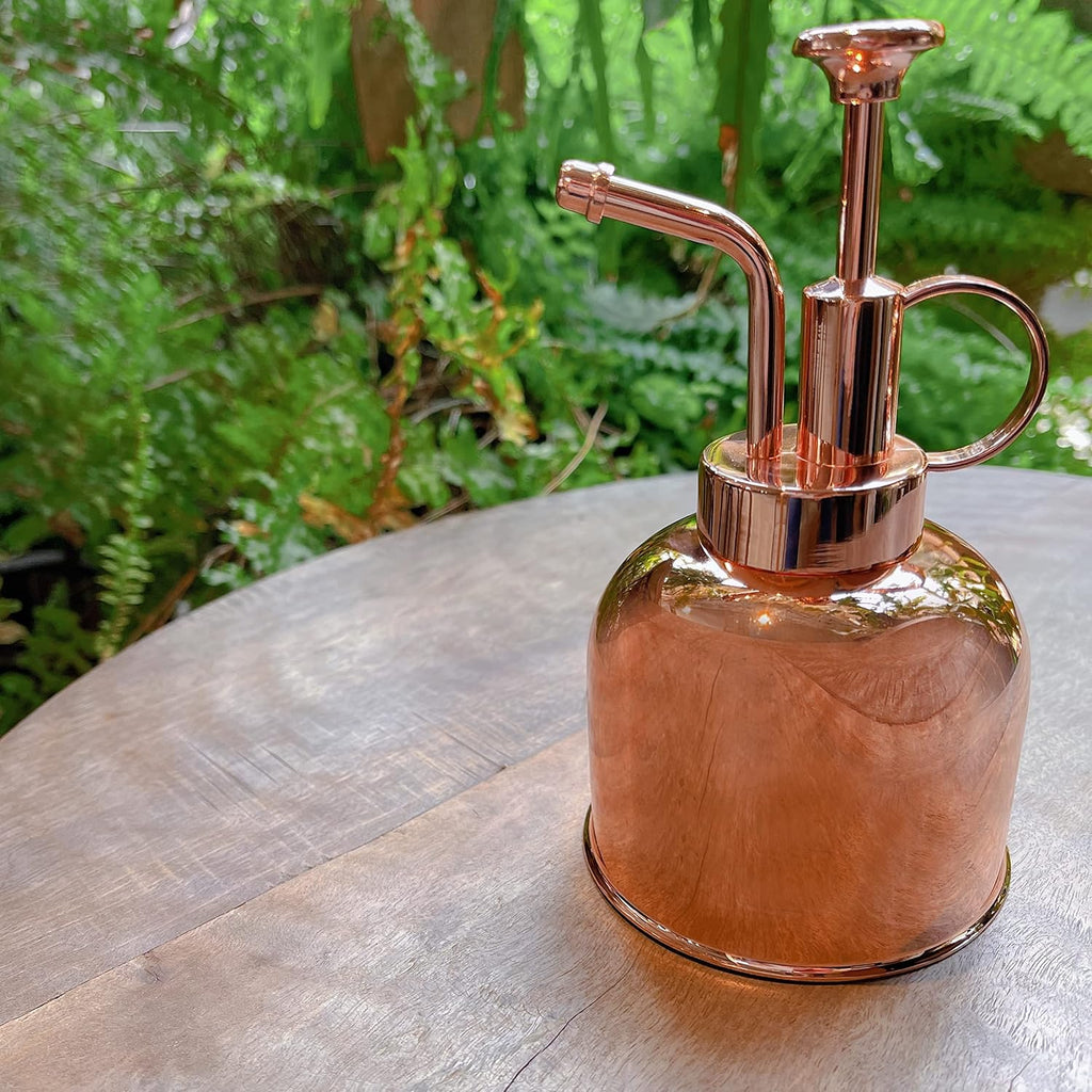 Stainless Steel Plant Mister Spray Bottle Watering Can for Indoor Plants Succulent Bonsai Garden Spray Houseplant