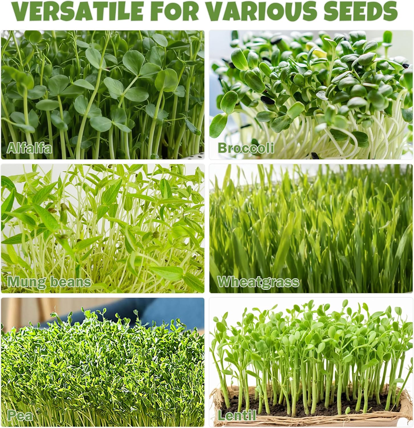 2 Pack 304 Stainless Steel Microgreens Growing Kit Seed Sprouting Trays | 2-Tier Soil-Free Rust-Free Round Seed