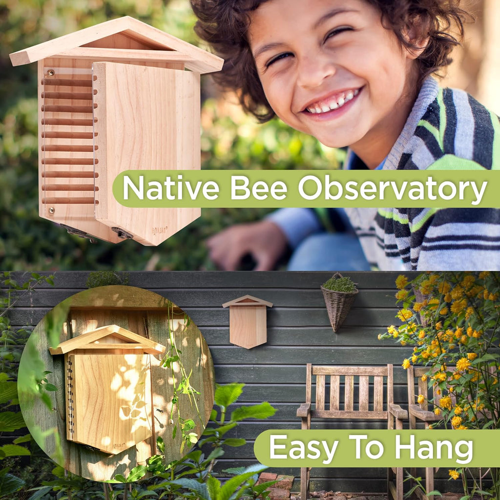 Rivajam Native Bee Observatory | Mason Bee Houses for Pollinating Bees | Pollinator Bee Houses for the Garden Lover