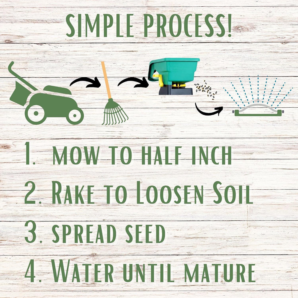 Simple Lawn Mow Less Fine Fescue Eco-Grass Seed, 4 Lbs, Low Maintenance, Resealable Pail with Handle, Covers up to 2000