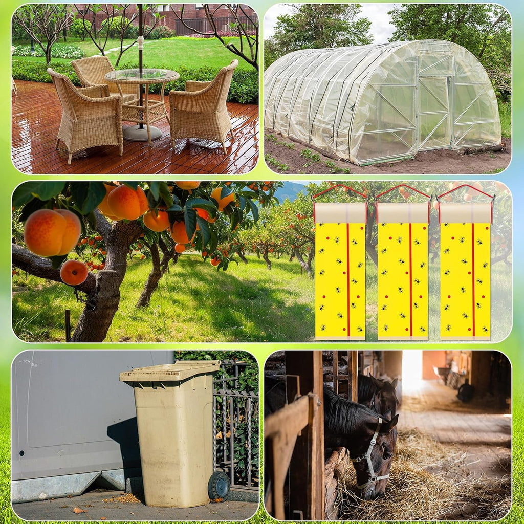 10 Rolls Sticky Fly Trap 30 ft Each, Fly Paper Strips for Indoor Outdoor Hanging Flies Tape Spotted Lanternfly Tree