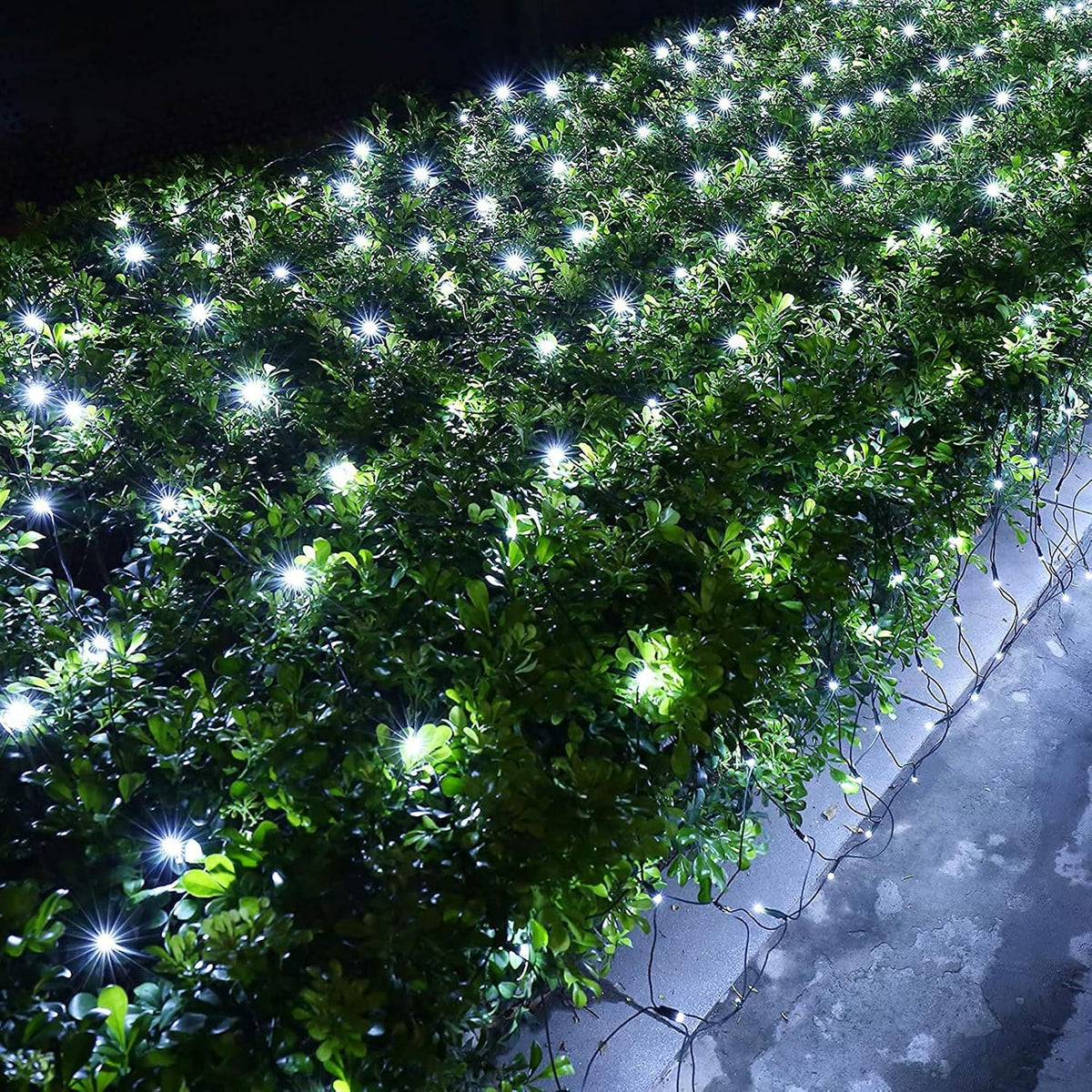 Lomotech 12ft x 5ft 360 LED Christmas Net Lights(1 Pack, White)