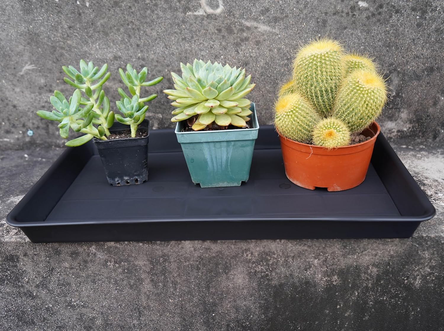 VUWEZ 2 Pack Plant Saucer Tray Rectangular, Plant Growing Nursery Trays, Heavy Sturdy Seed Starting Trays, Plants
