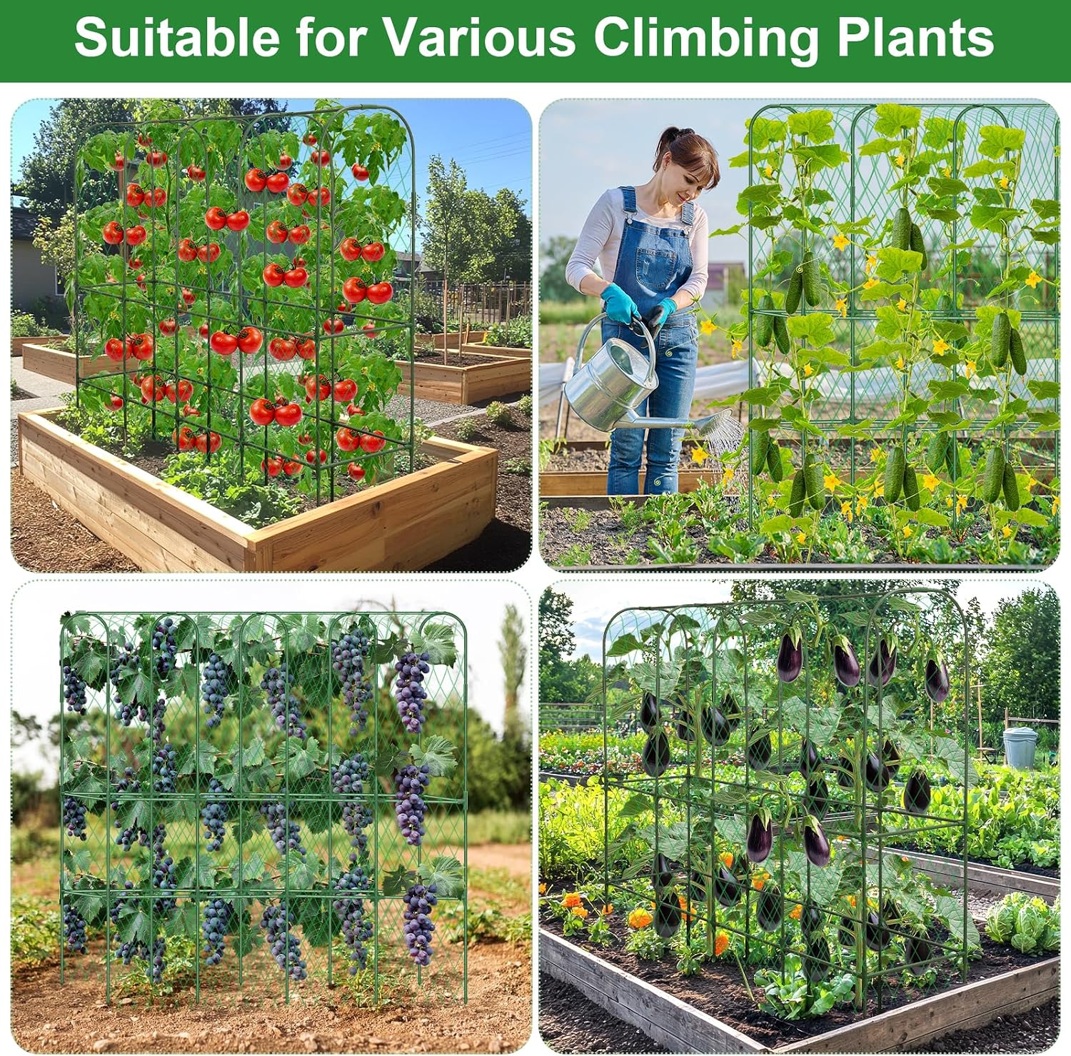 Cucumber Trellis for Raised Bed 5.4x5.5ft U-Shape Adjust Metal Garden Trellis for Climbing Plants Outdoor with Climbing