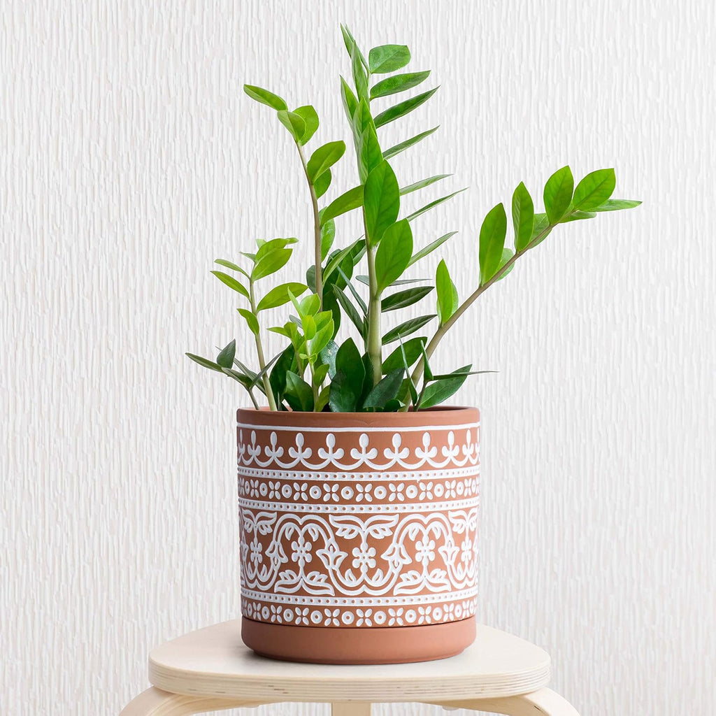 D'vine Dev 2-Pack Terracotta Pots, 4/6 in, Terra/White, 31-958-F-1 | Hand-Painted Pattern, Natural Clay Texture