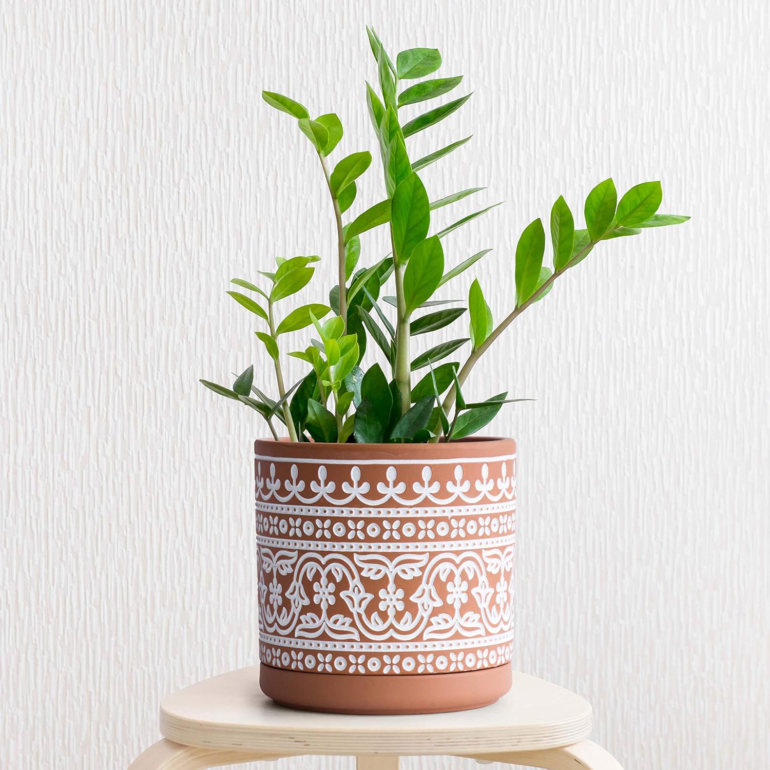 D'vine Dev 2-Pack Terracotta Pots, 4/6 in, Terra/White, 31-958-F-1 | Hand-Painted Pattern, Natural Clay Texture