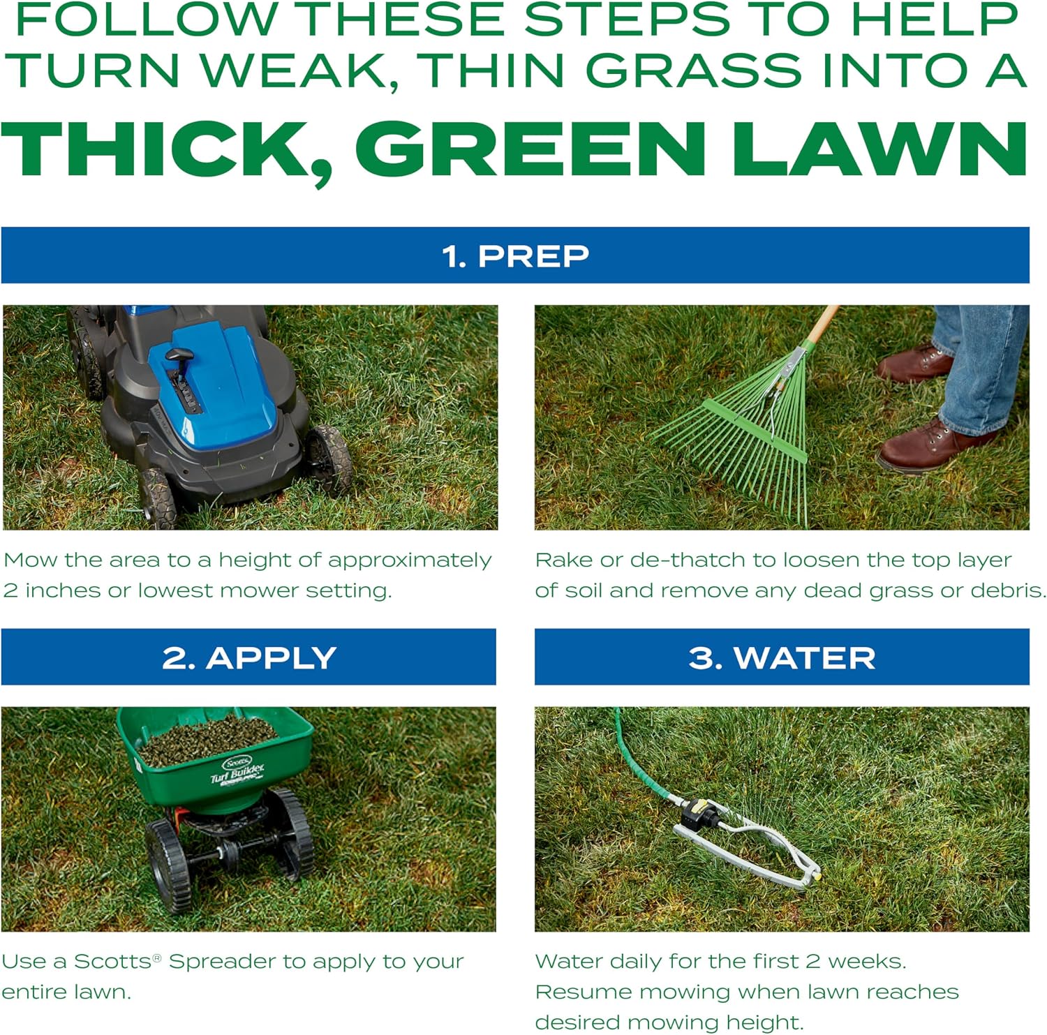 Scotts Turf Builder Thick'R Lawn Sun & Shade, 40 lbs. | Combination Grass Seed, Lawn Fertilizer and Soil Improver