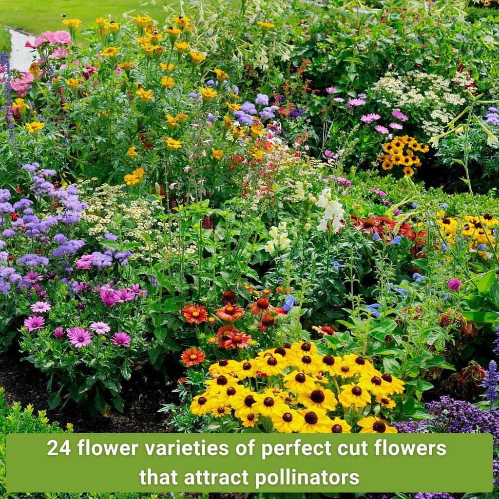 Sow Right Seeds - Large Flower Farm Seed Collection for Planting Garden | Includes zinnia, sunflower, lavender, and