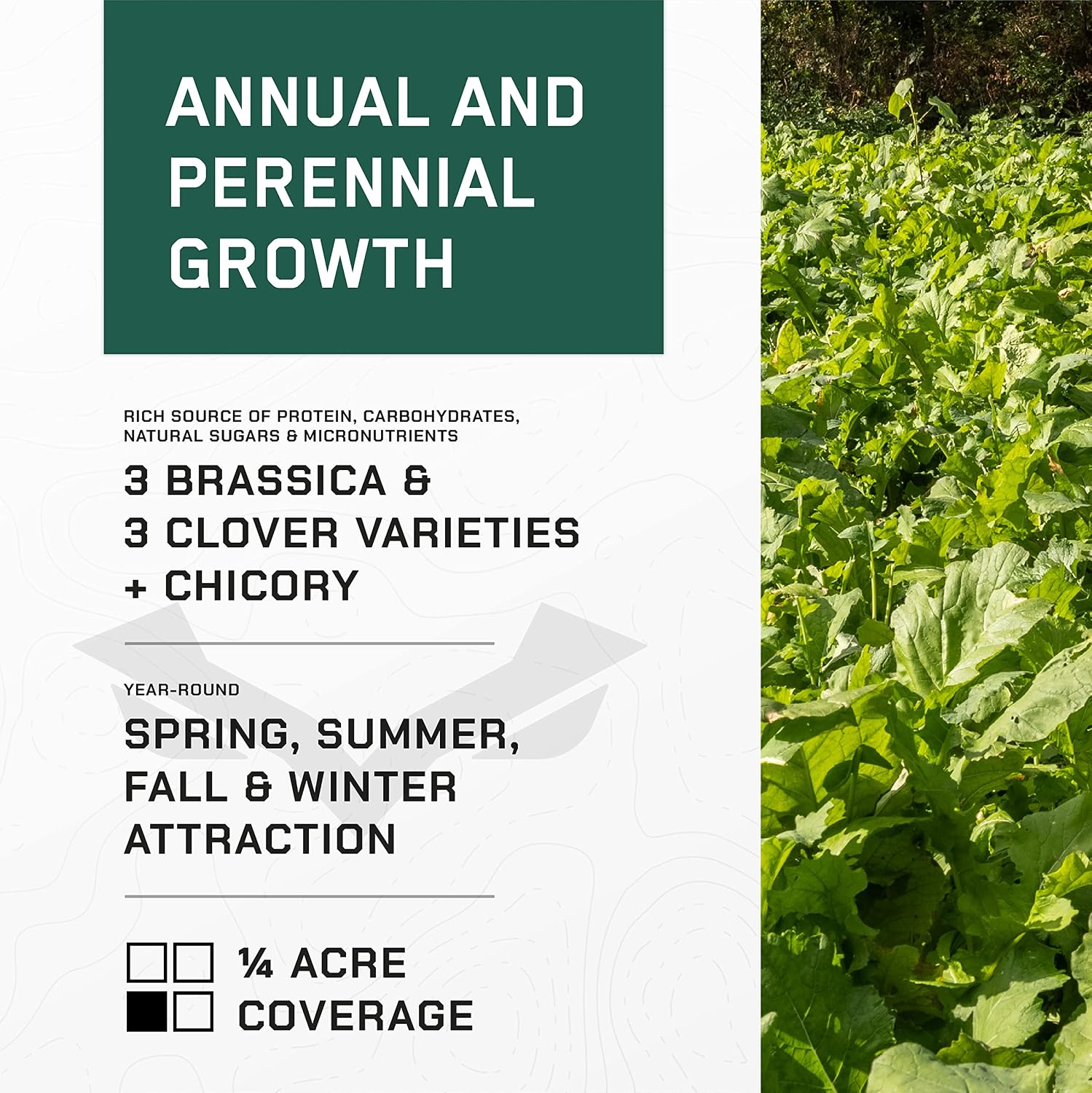 All-in-One Food Plot Seed + Fertilizer for Deer - 1/4 Acre Coverage - Perennial + Annual Blend - Protein and