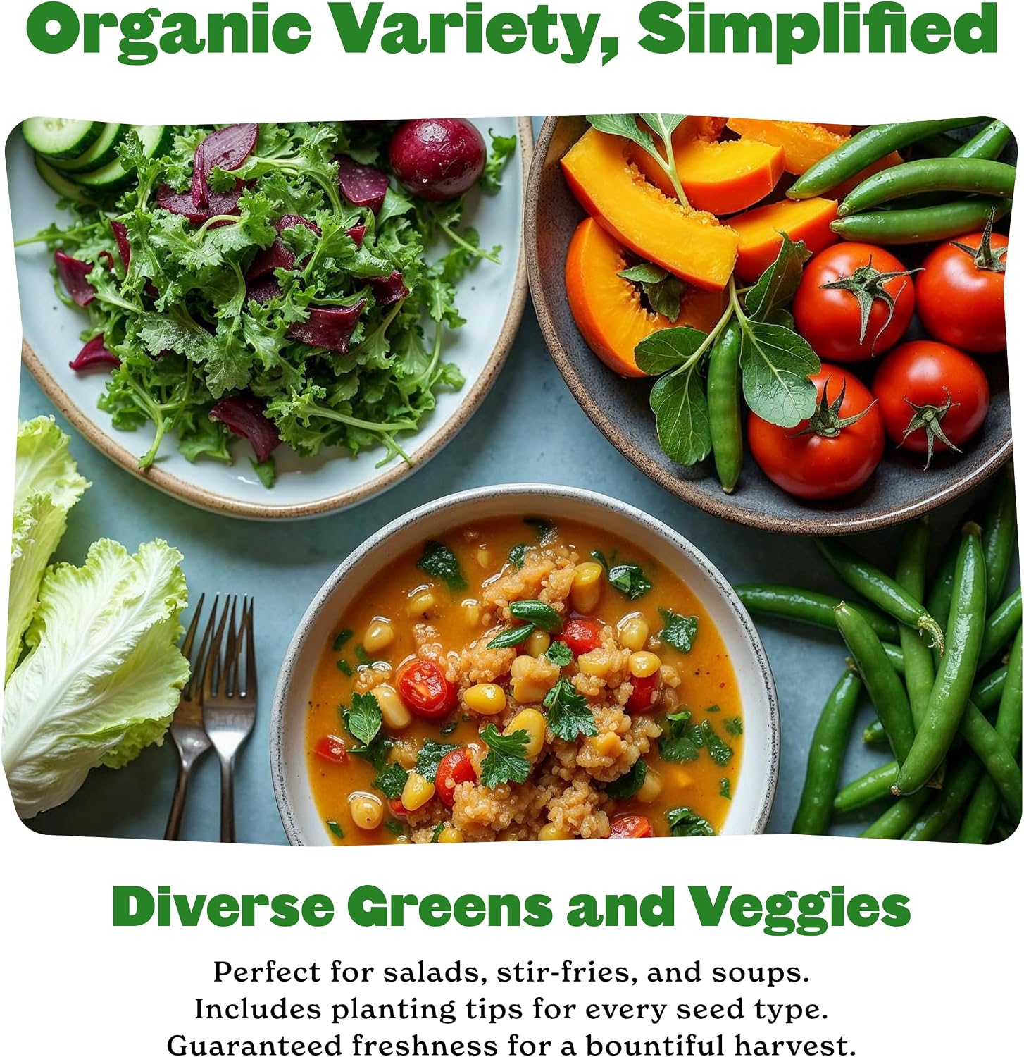 Organic Vegetable Garden Kit - 10 Non-GMO Varieties, Includes Tomatoes, Squash, Pumpkins, Beans & More, Perfect for