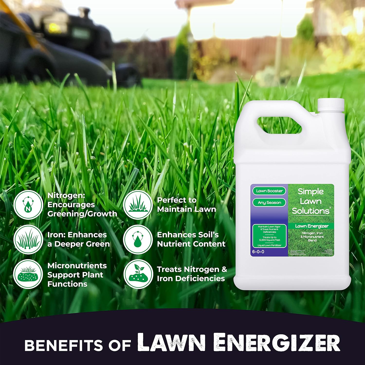 Simple Lawn Solutions - Ryan Knorr - Gallon Bundle- Lawn Essentials Bundle Box - 3 x 1 Gallon Set - Lawn Food 16-4-8