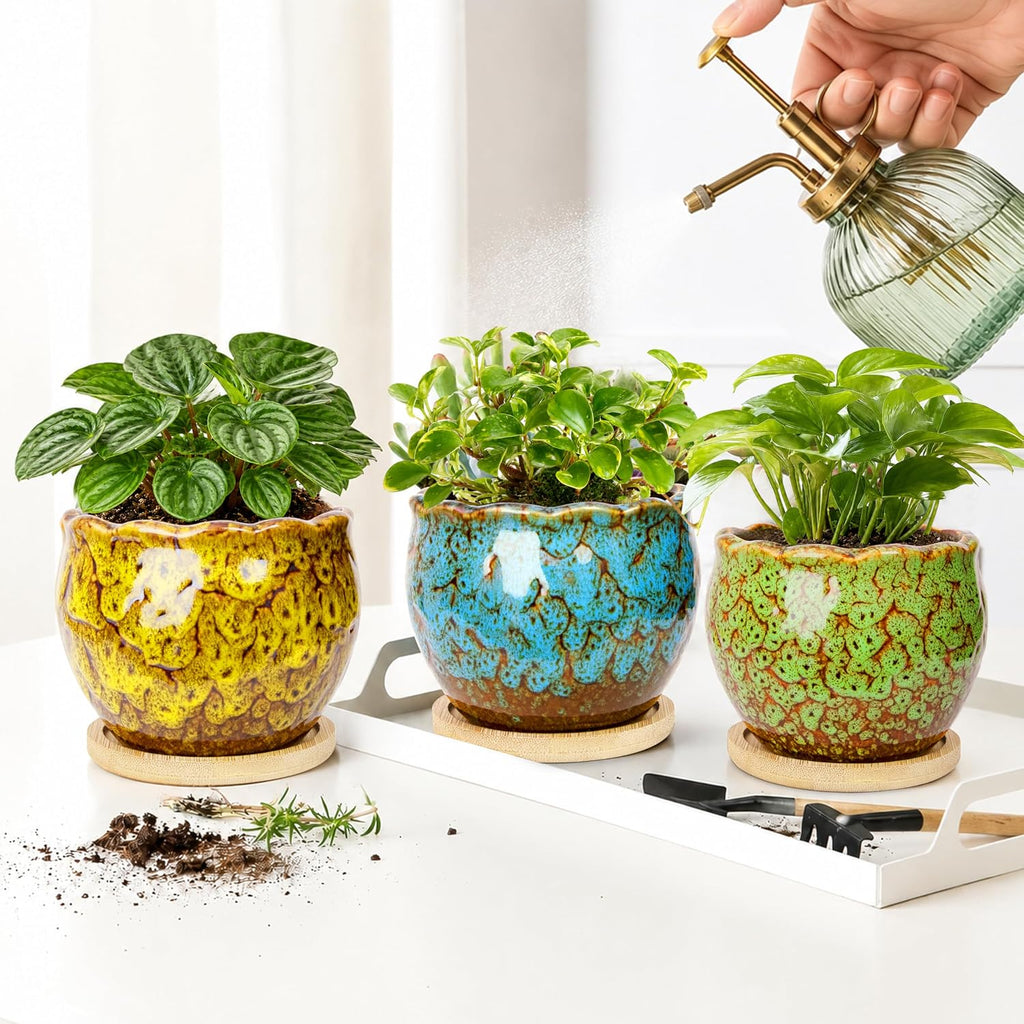 ARTKETTY Succulent Pots, 4 Pack Small Plant Pots with Drainage Tray | 4 Inch Flower Pots, Ceramic Planters for Indoor