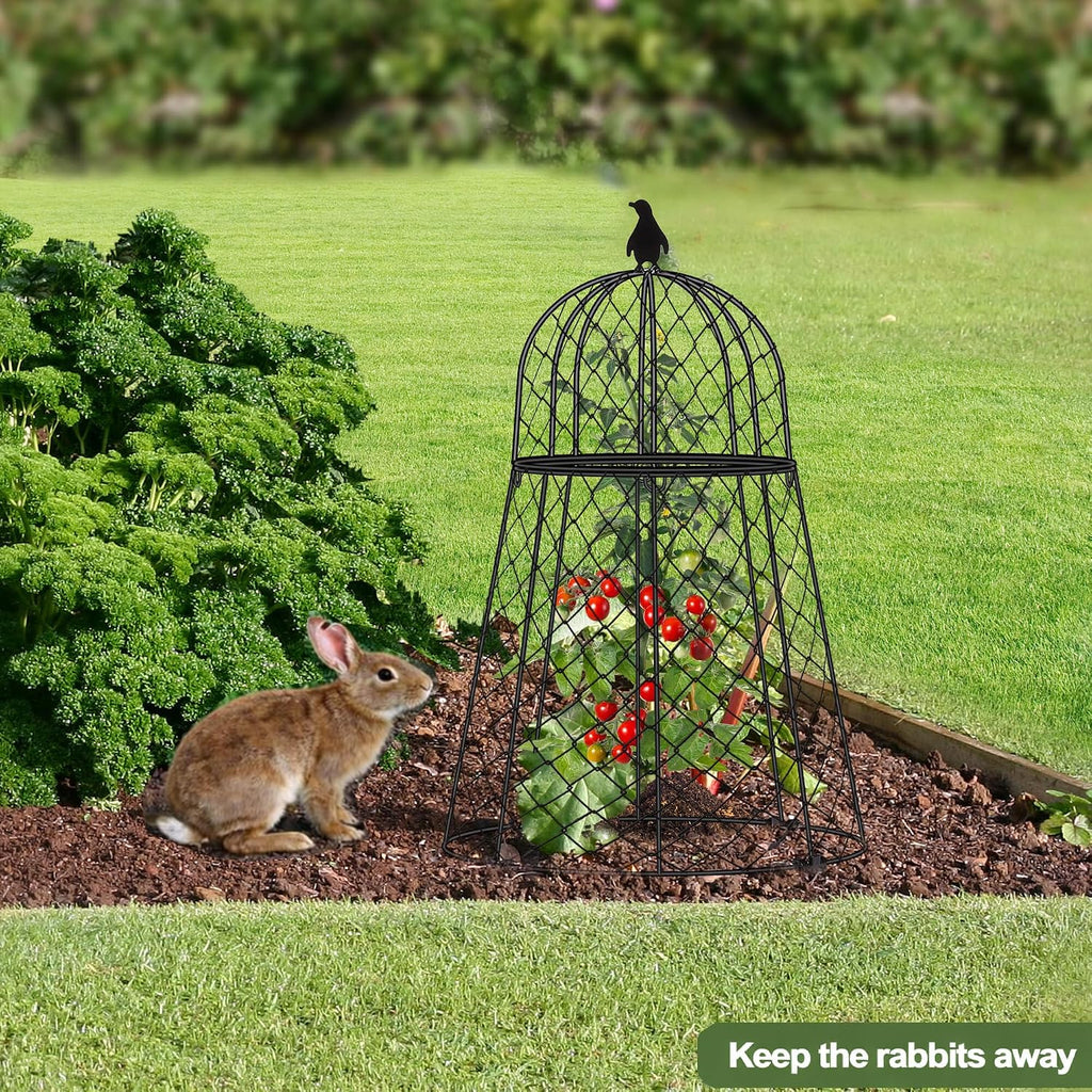Garden Cloches for Plants, Chicken Wire Cloche, Plant Cloche and Cages, Wire Plant Protectors from Animals, Protection