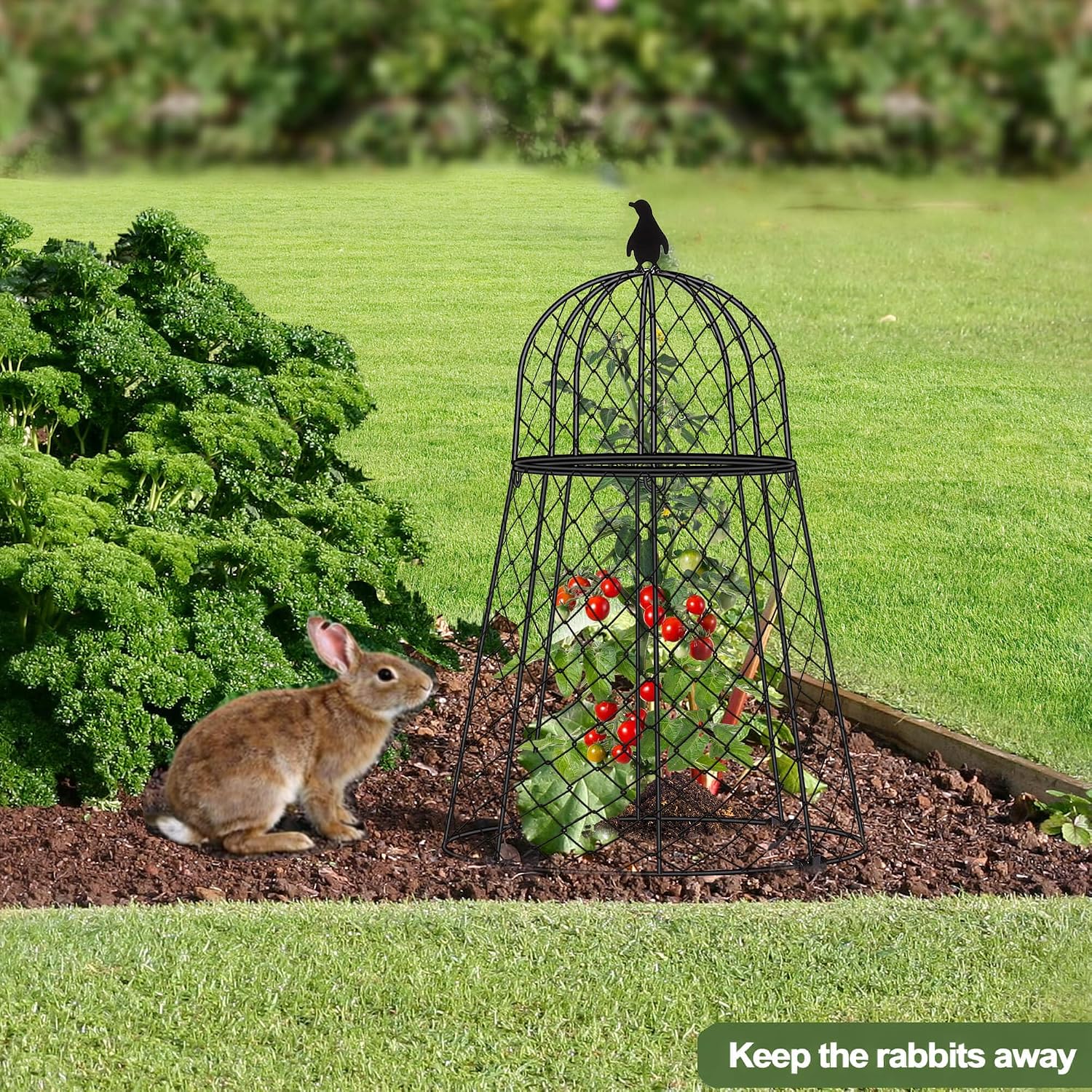 Garden Cloches for Plants, Chicken Wire Cloche, Plant Cloche and Cages, Wire Plant Protectors from Animals, Protection