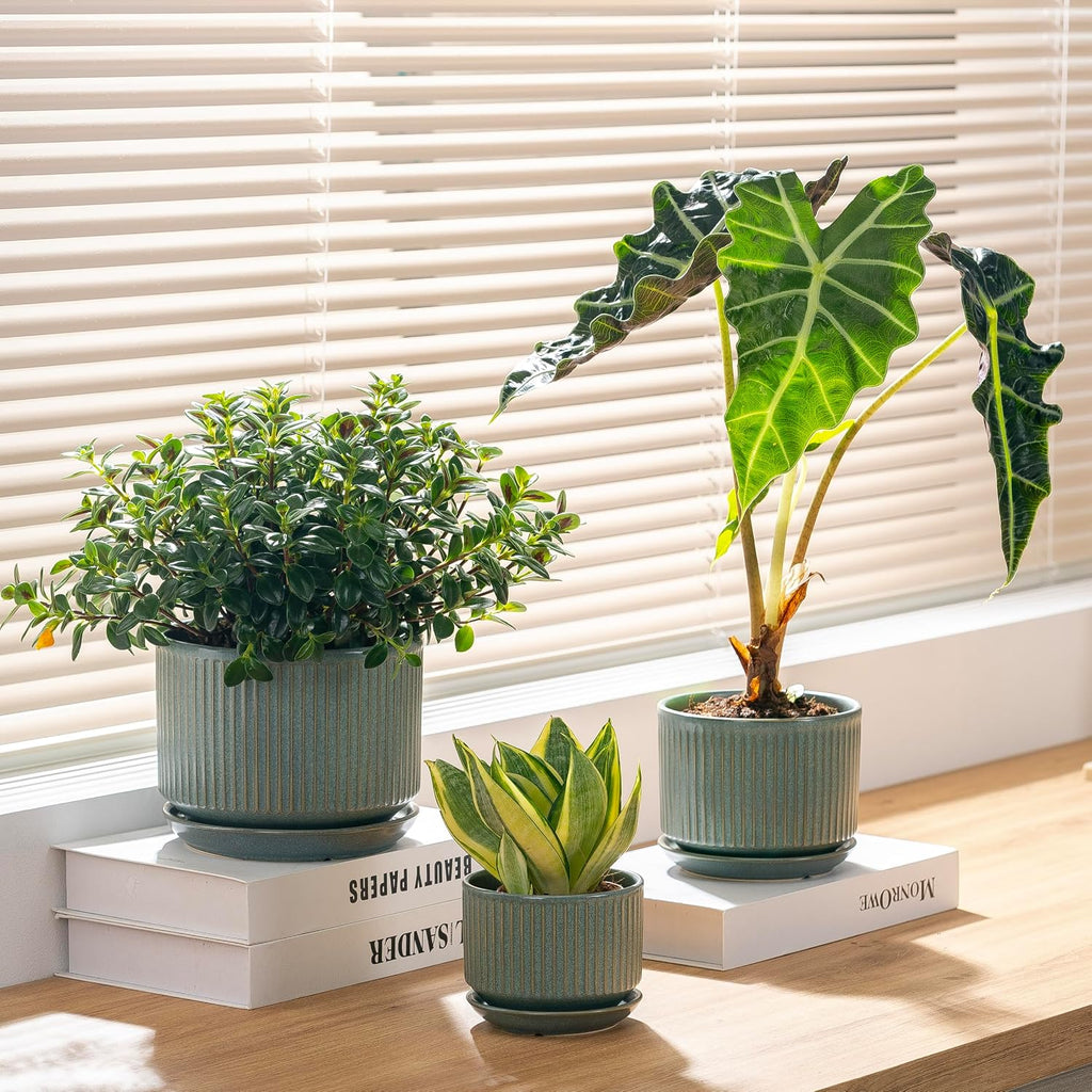SURE YUESI Ceramic Plant Pots Set of 3, Indoor Outdoor Planters with Drainage Hole and Saucer, Ceramic Flower Pots for