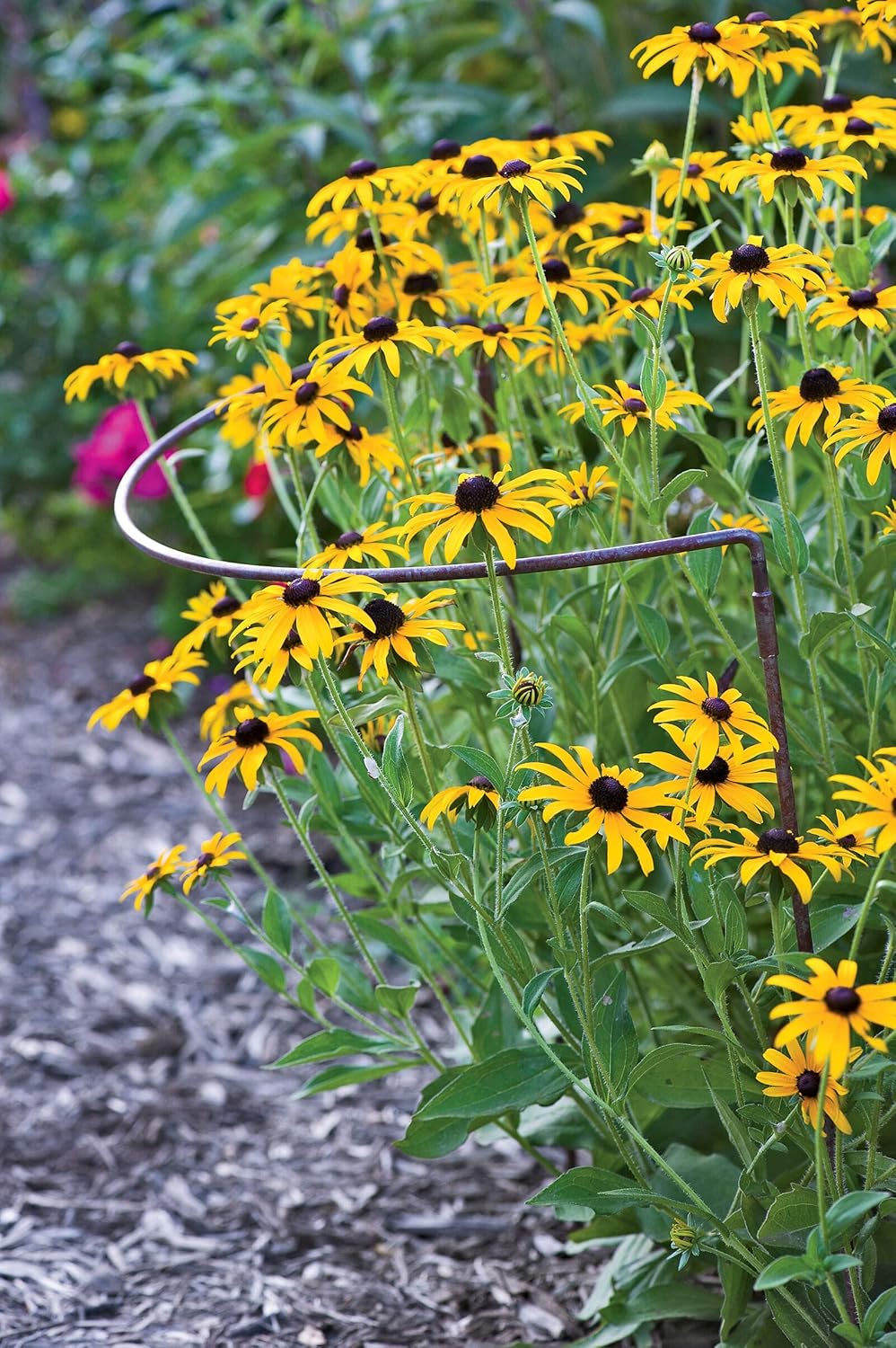 Gardener's Supply Company Jardin Half Round Plant Supports -18" x 35" | Sturdy Powder Coated Metal Outdoor Garden Plant