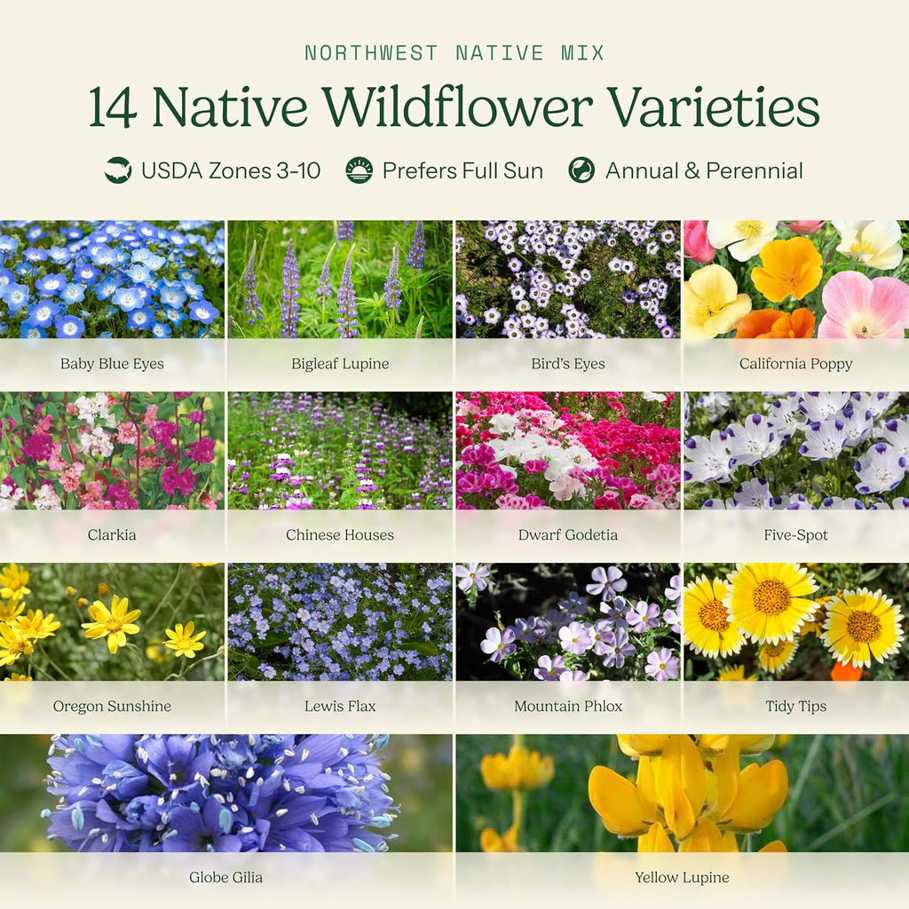 Eden Brothers Native Pacific Northwest Wildflower Seed Mix, 1/4lb,14 Pacific NW Wild Flower Seed Varieties, 100% Pure