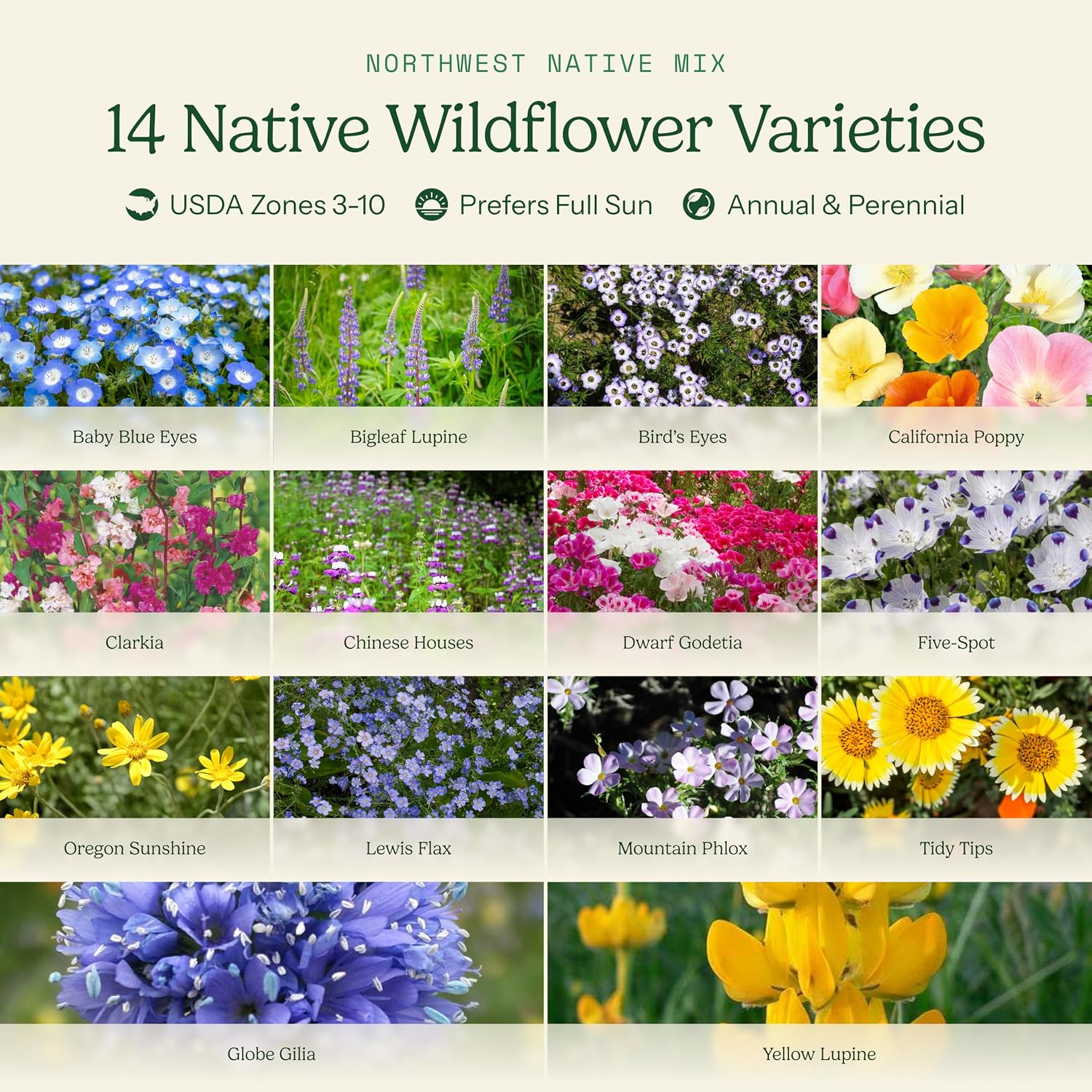 Eden Brothers Native Pacific Northwest Wildflower Seed Mix, 1/4lb,14 Pacific NW Wild Flower Seed Varieties, 100% Pure
