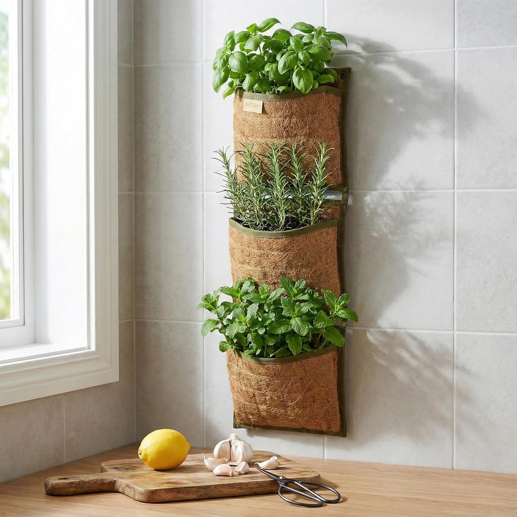 Vertical Garden Planter, 3 Pocket, Living wall Planter, Hanging wall planters for Indoor Plants, Hanging planters for