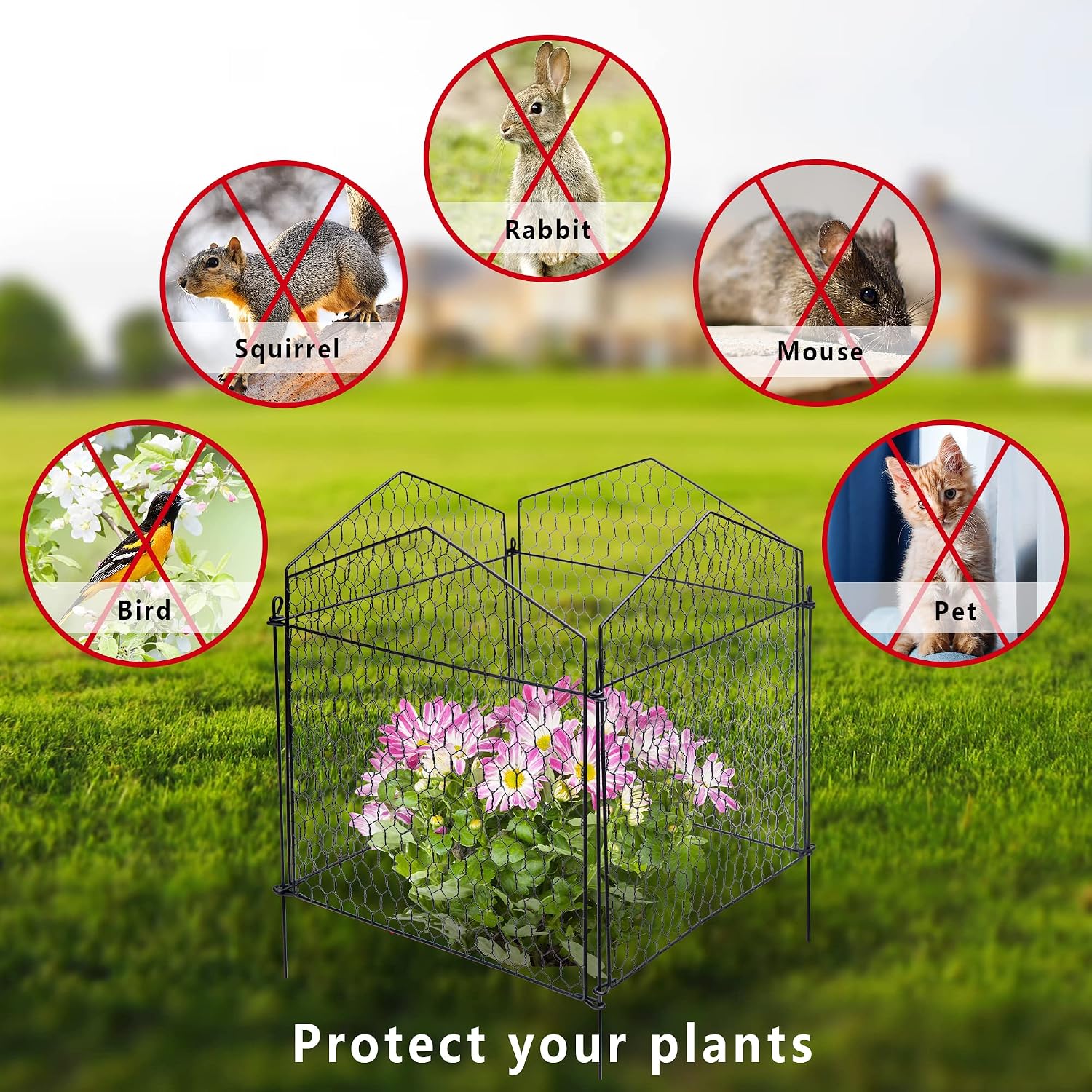 DECOHS 4 Packs Chicken Wire Cloche Plant Protectors from Animals Garden Plant Cage Protector - Wire Plant Protectors to