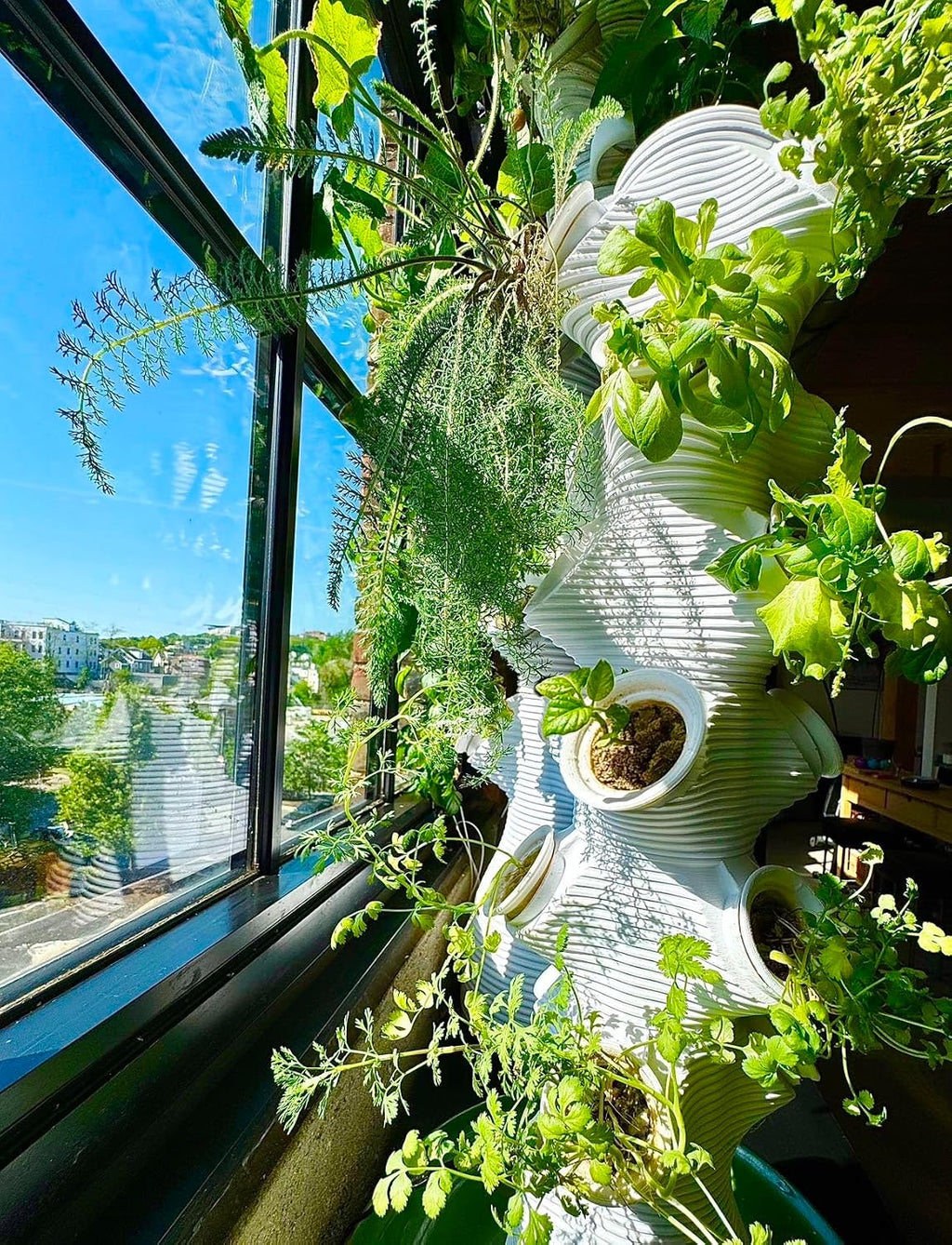 Indoor Desktop Hydroponics Tower System Growing Kit Perfect for Edible Flowers, Herbs, and Vegetables for Homes