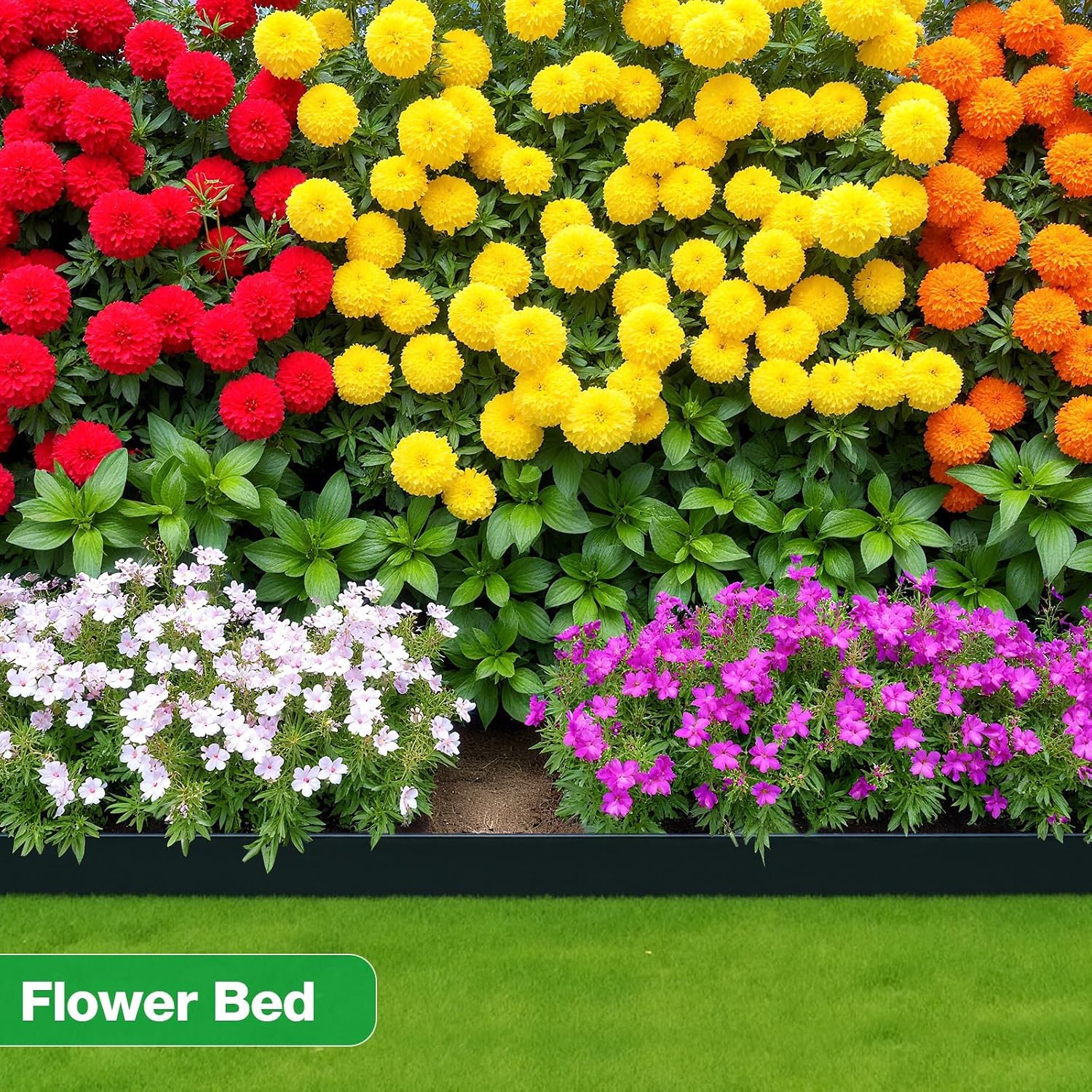 MIXC Garden Edging Border, 33FT 2 Inch Tall Plastic Landscape Edging with 50 U-Shaped Metal Stakes, More Stable and