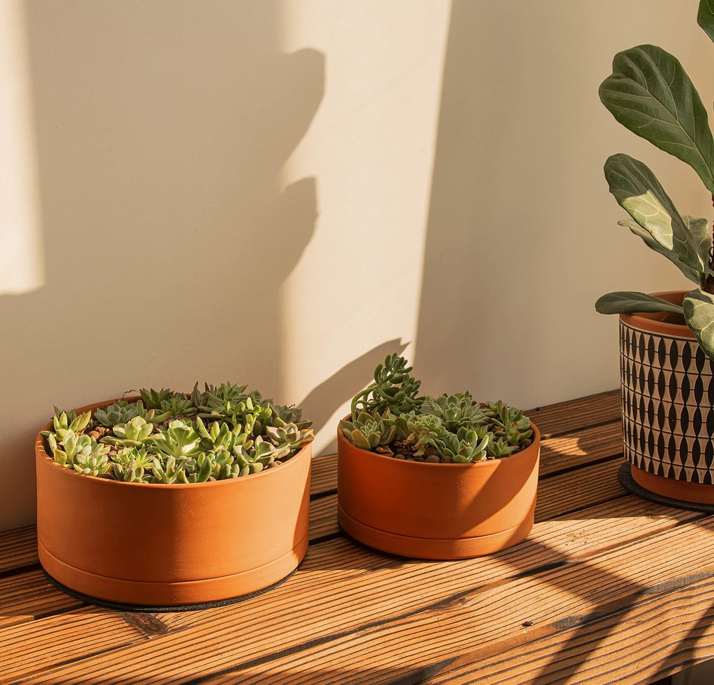 D'vine Dev Terracotta Shallow Planter Pot with Saucer, 8 in, 40-Y-A-0 | Wide Bowl Design, Unglazed Terracotta, Porous &