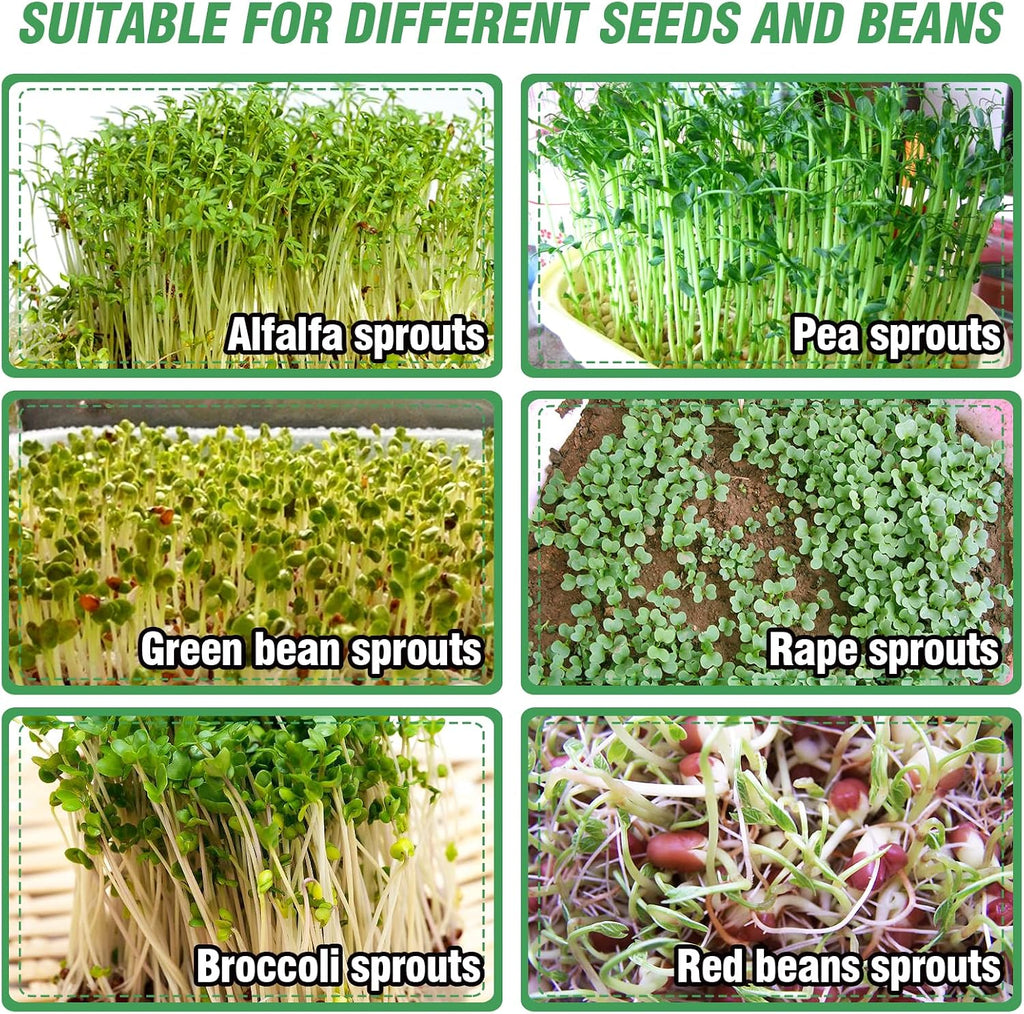 Aulock Stainless Steel Seed Sprouting Kit, 7.9'' Microgreens Growing Tray | 3-Tier, Stackable Round Sprouter Maker with