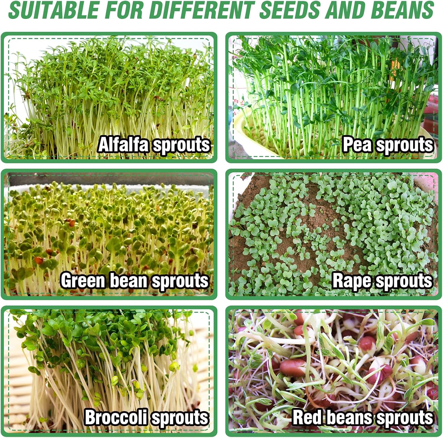 Aulock Stainless Steel Seed Sprouting Kit, 7.9'' Microgreens Growing Tray | 3-Tier, Stackable Round Sprouter Maker with