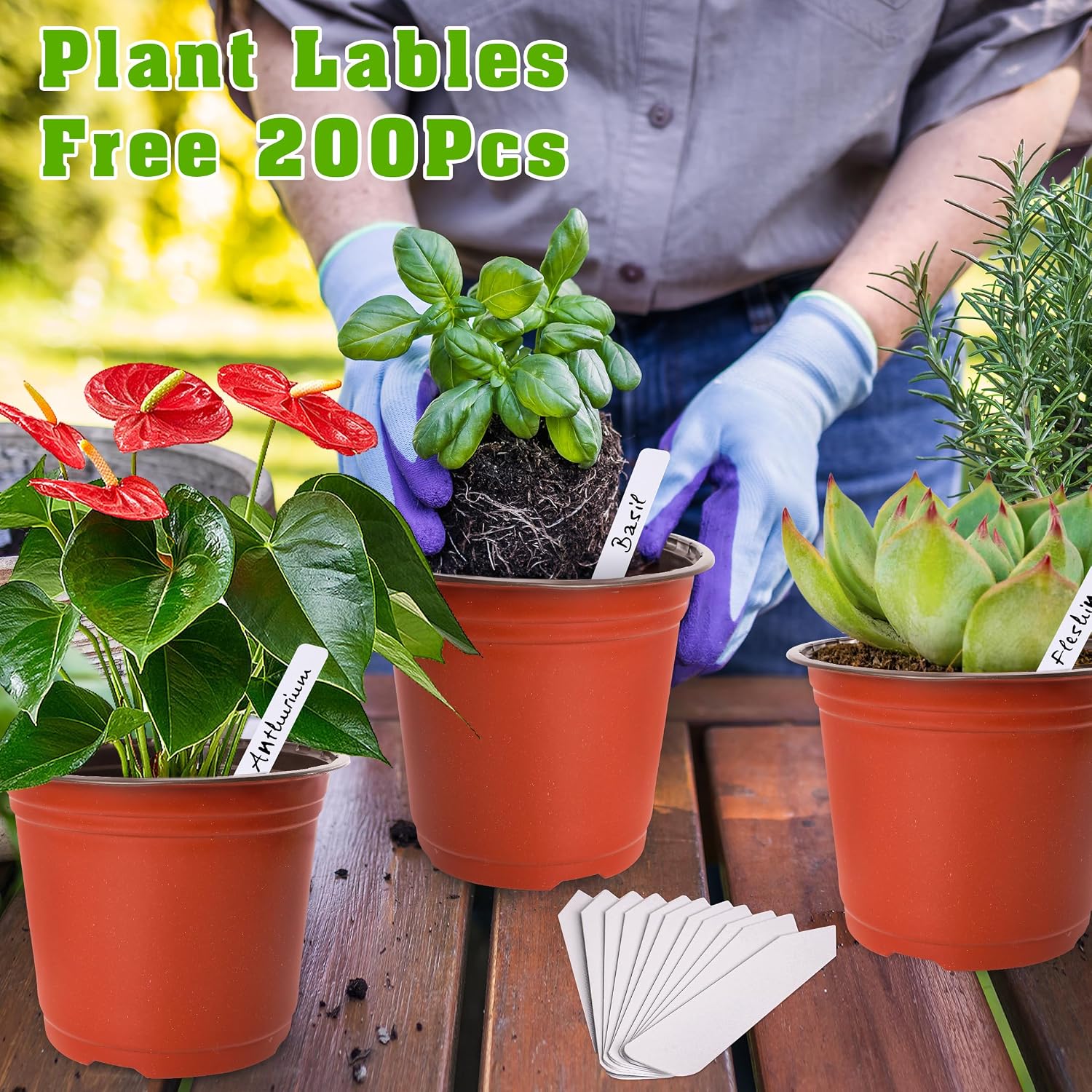 TDHDIKE 6" Plastic Plant Nursery Pots 200Pcs with 200 Labels | Red Seedling Flower Containers, Indoor/Outdoor Seed