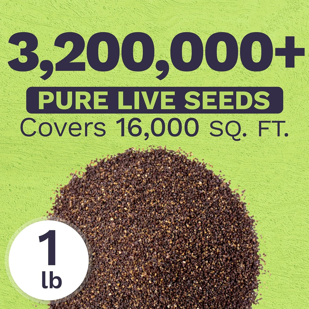 Red Poppy Seeds for Planting - Bulk 1 Pound Bag - Over 3,200,000 Wildflower Seeds