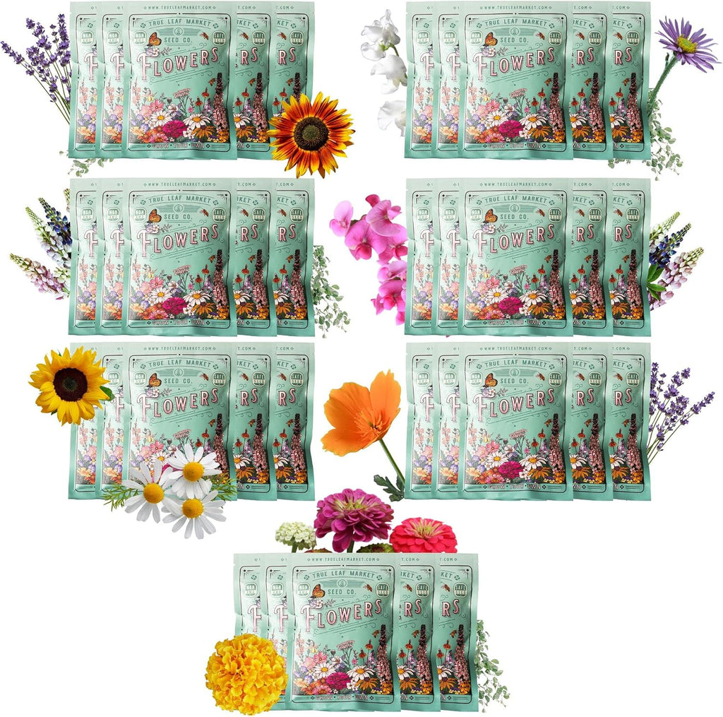 Mountain Valley Seed Co 35 Varieties Flower Seed for Planting 20,000 Seeds | Includes Annuals Perennials, & Wildflowers