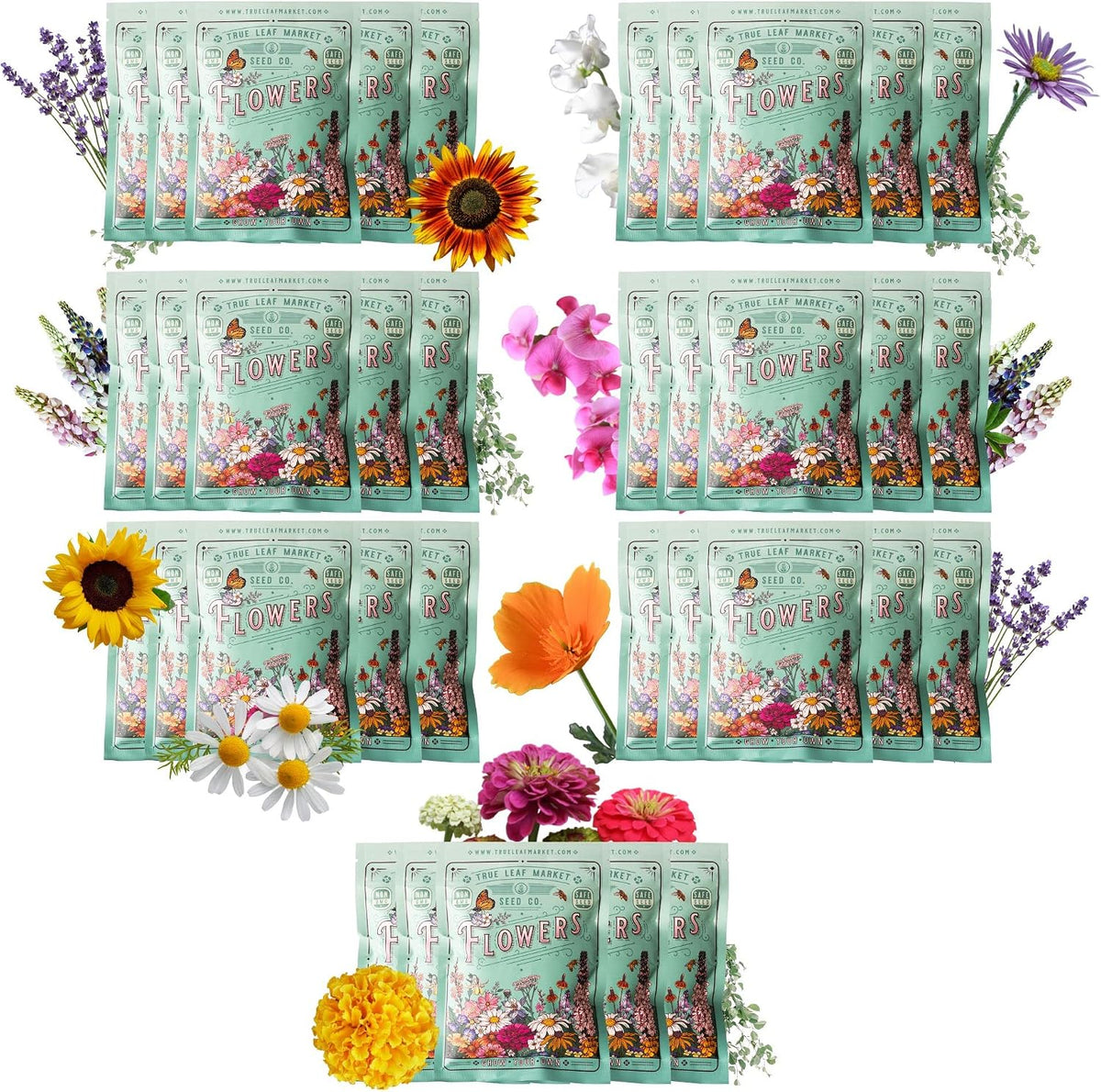 Mountain Valley Seed Co 35 Varieties Flower Seed for Planting 20,000 Seeds | Includes Annuals Perennials, & Wildflowers