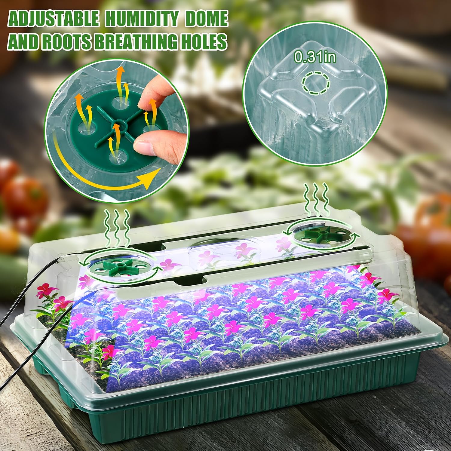 2 Pack Seed Starter Tray with Grow Light, 80 Cell Indoor Greenhouse Seed Starting Set with Humidity Dome, 360° Full