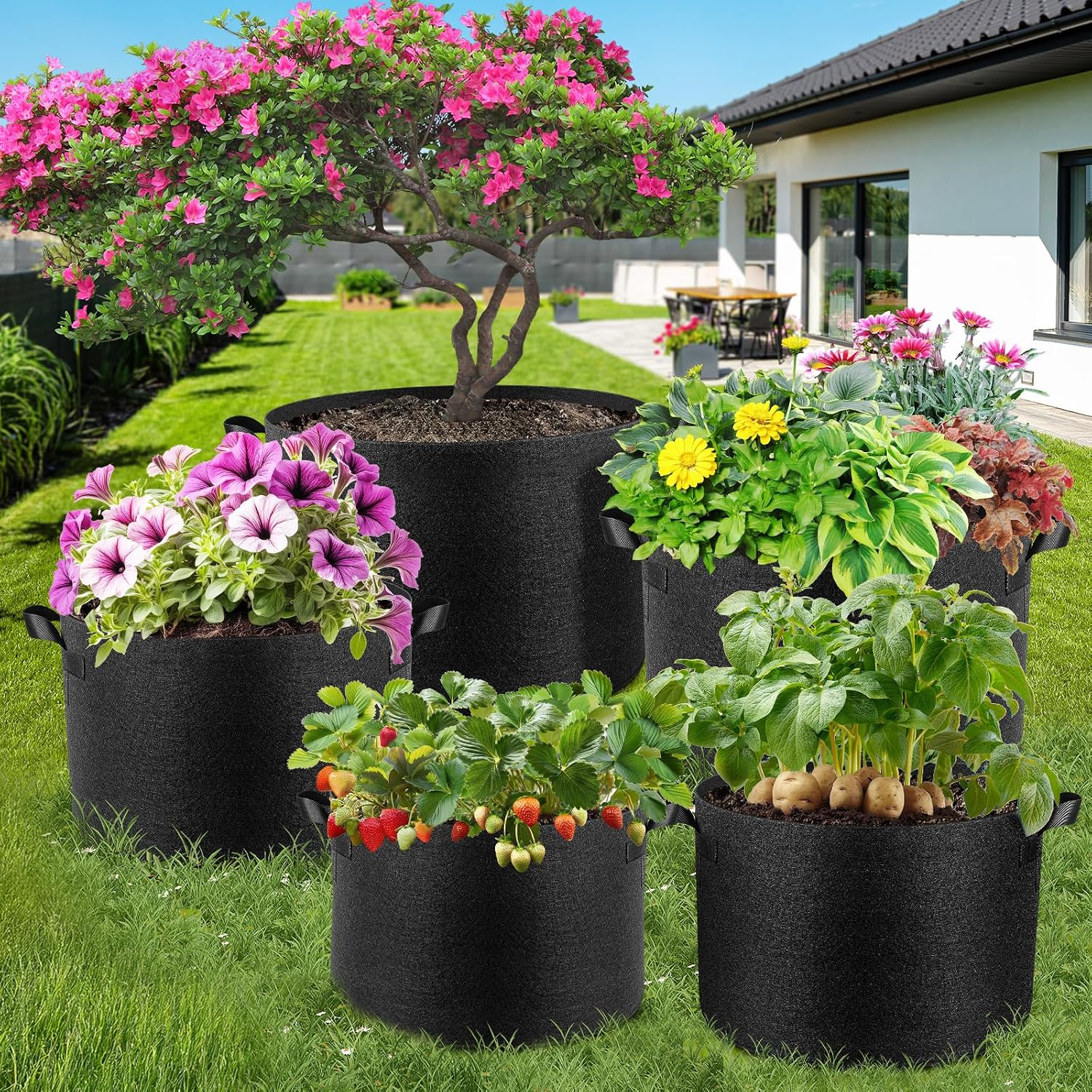 Jorvila 5-Pack 10 Gallon Grow Bags | Thickened Nonwoven Fabric Pots, Garden Grow Bags with Handles, Heavy Duty 300G
