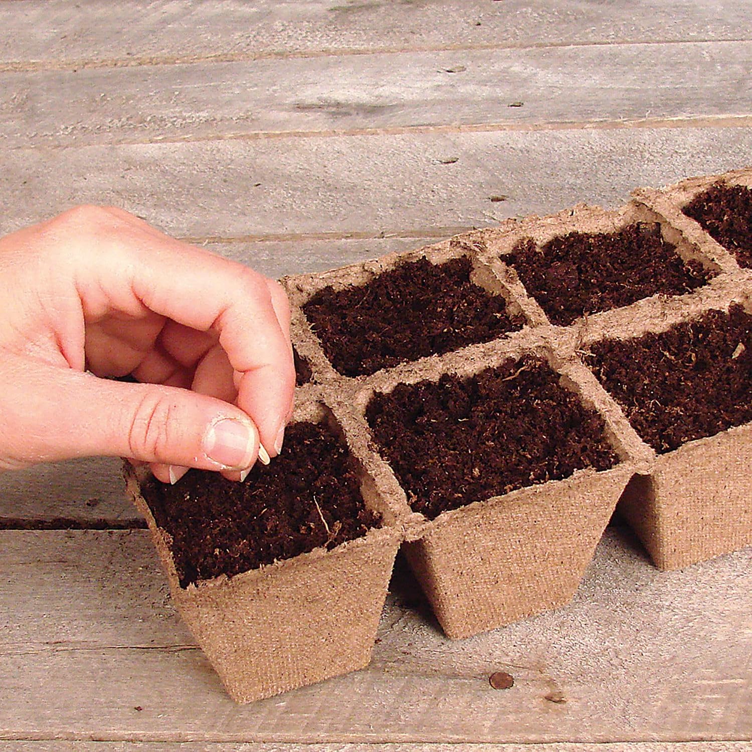 Jiffy Seed Starting Tray - Biodegradable, Plant Germination Cells - 20 Strips (200 Cells) - Peat