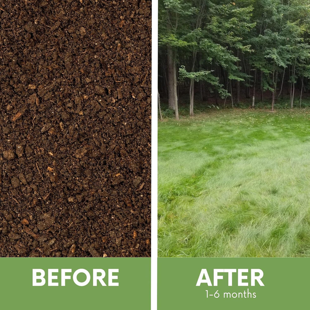 Simple Lawn Mow Less Fine Fescue Eco-Grass Seed, 4 Lbs, Low Maintenance, Resealable Pail with Handle, Covers up to 2000