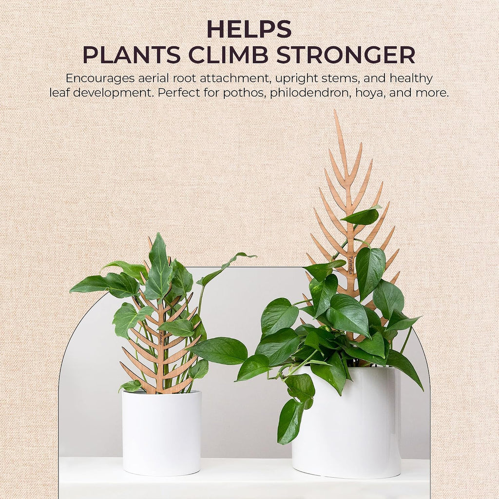 Palmella Palm Leaf Inspired Wooden Trellis – Grande Size Indoor Plant Support for Climbing Plants – 24” Decorative