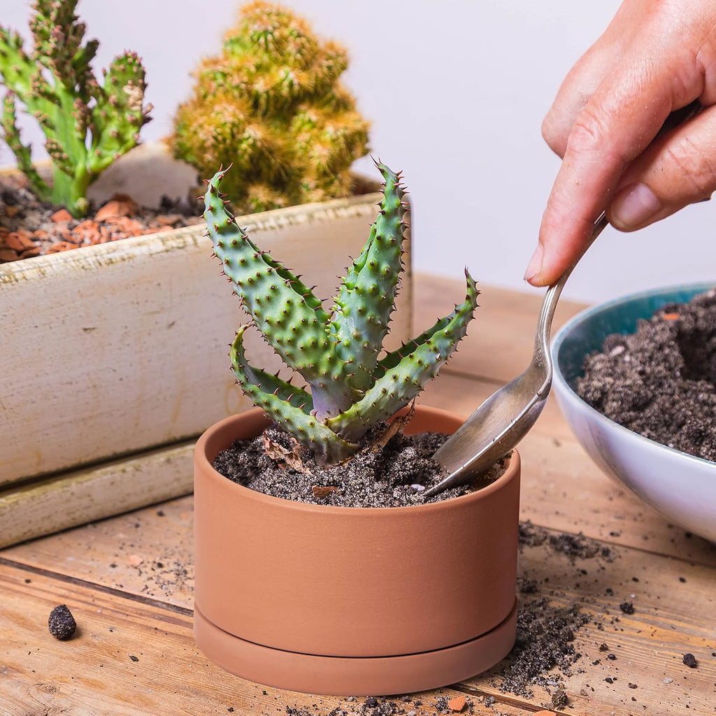 D'vine Dev Set of 4 Terracotta Shallow Planter Pots for Succulent, 3 Inch 4 Inch 5 Inch 6 Inch, Small Flower Plant Pots