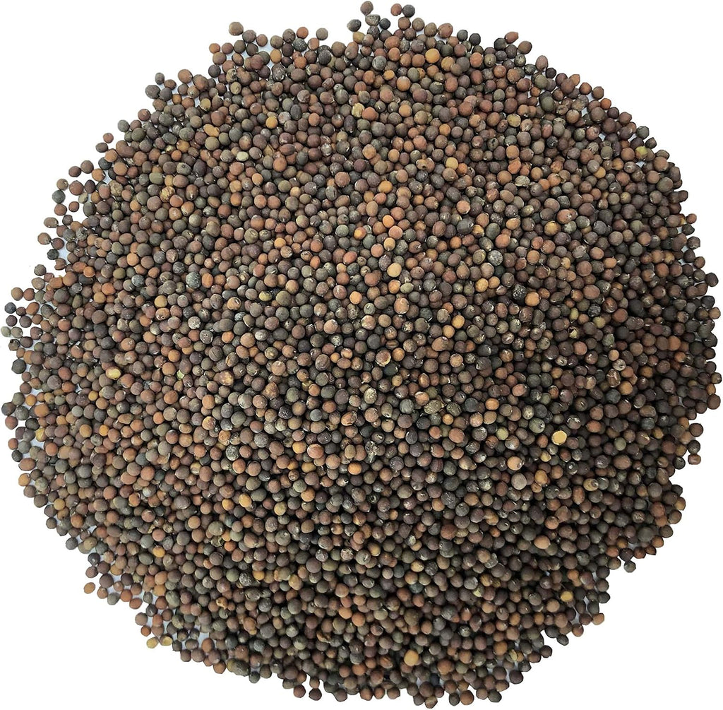 Kale Seeds, 5 Pounds – Great for Sprouting and Planting, High Germination Rate, Non-Irradiated, Kosher, Vegan, Bulk