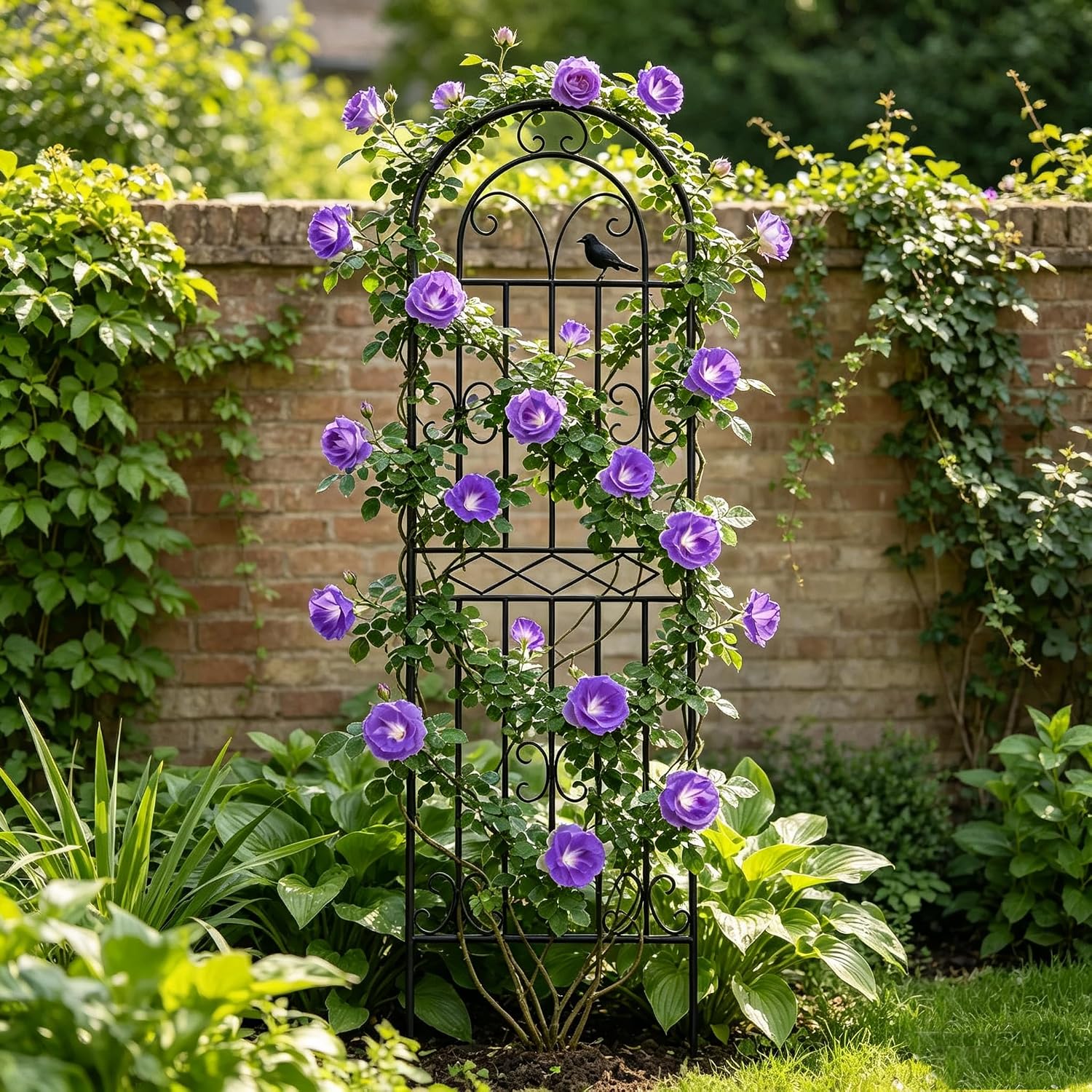 1 Pack 59"x19.7" Metal Gardon Trellis for Climbing Plants Flowers Outdoor, Rustproof, Heavy Duty, Black Coating Plant