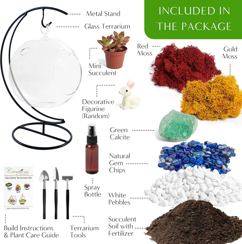 Creations by Nathalie - 5" Glass Globe Succulent Terrarium Kit, Hanging DIY Starter Kit for Kids and Adult, Metal
