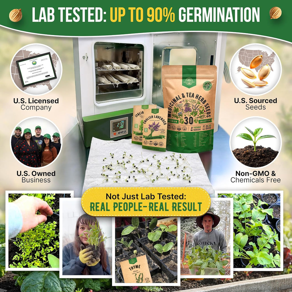 30 Medicinal & Tea Herb Seeds Variety Pack 15,560+ Non-GMO Heirloom Garden Seeds for Indoor & Outdoors, Including