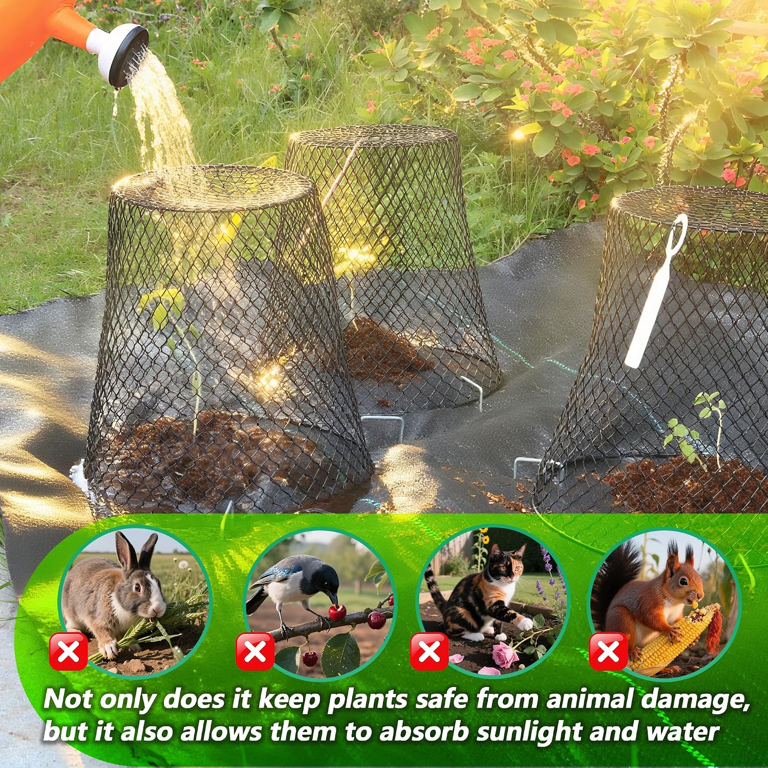 10 Pack 9.2 x 9.2 Inch Chicken Wire Cloche Plant Protectors from Animals | Plant Cages for Outdoor Plants Keep Rabbits