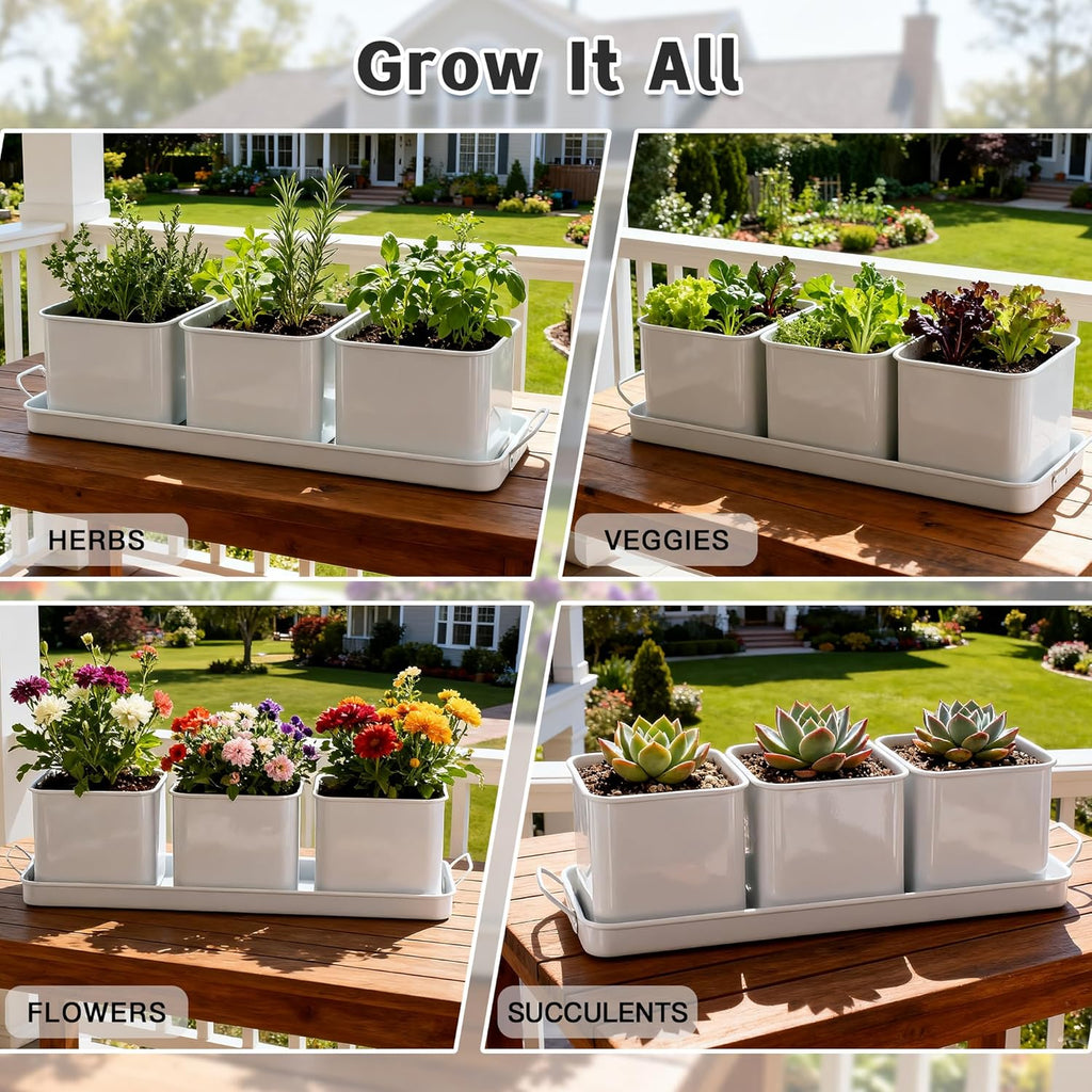 Indoor Herb Garden, Herb Planter Set with Handled Tray, 3 Iron Indoor Plant Pots with Drainage Holes, Windowsill