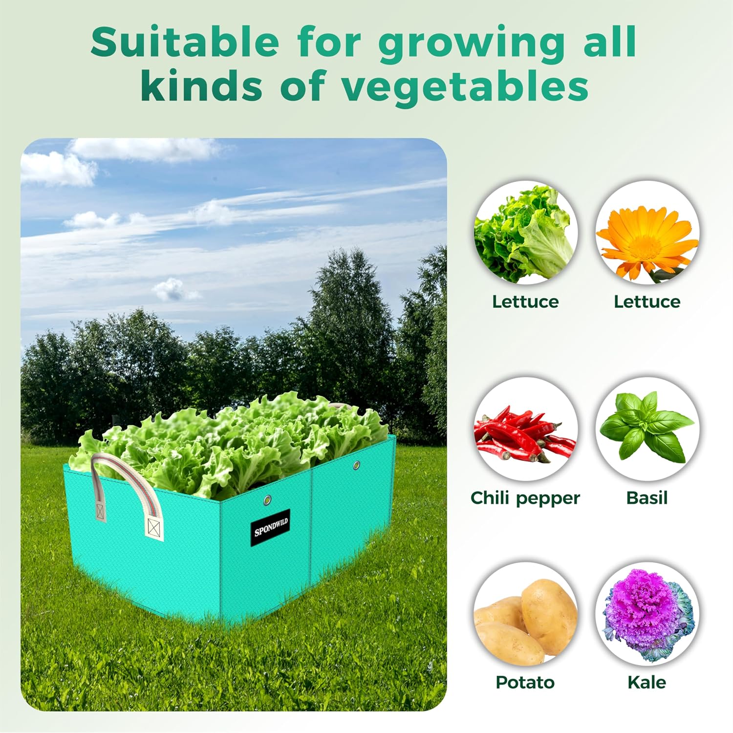 2 Pcs 6x3x1Ft 8 Grids Raised Garden Bed for Outdoor Vegetables | Plastic Rectangle Grow Bags with Handles and Drainage
