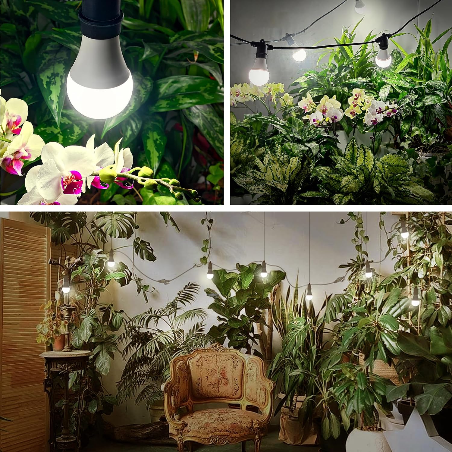 Hanging Grow Light 5000K, 3 Grow Light Bulbs with 8.86ft Power Cord