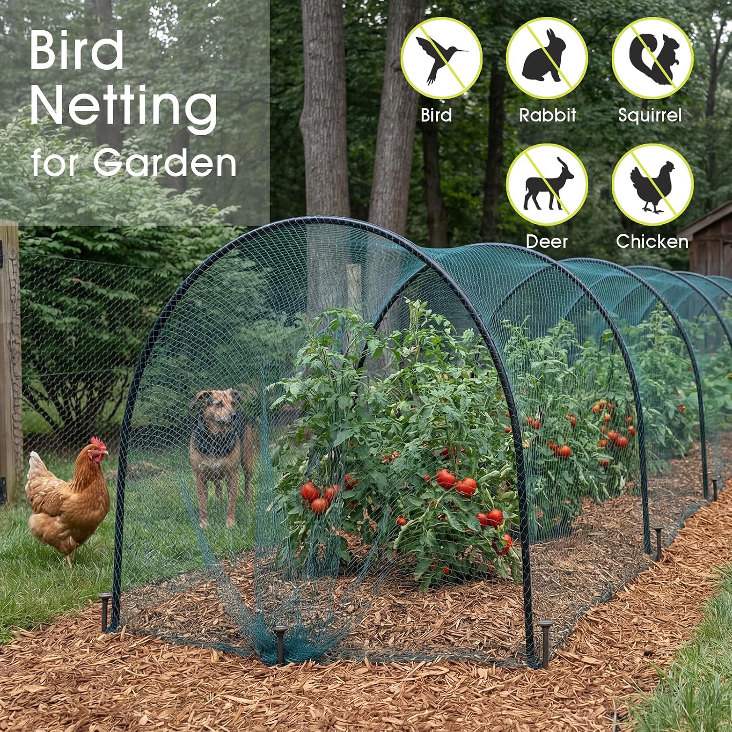 RIFNY Bird Netting for Garden Protection, 13 x 40FT Mesh Garden Netting | Heavy Duty Anti Bird Net with Staples for